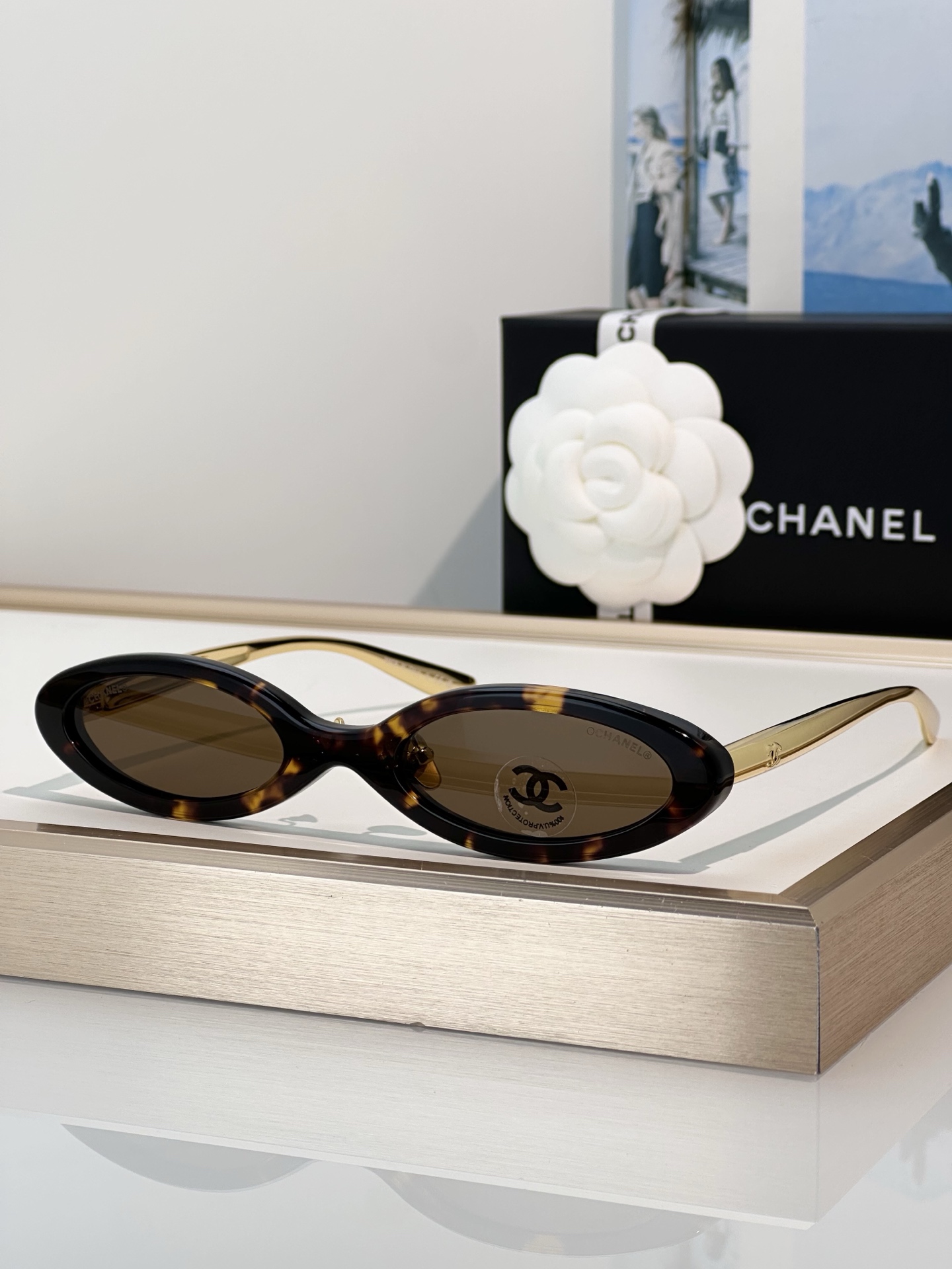 Chanel Sunglasses CH9209