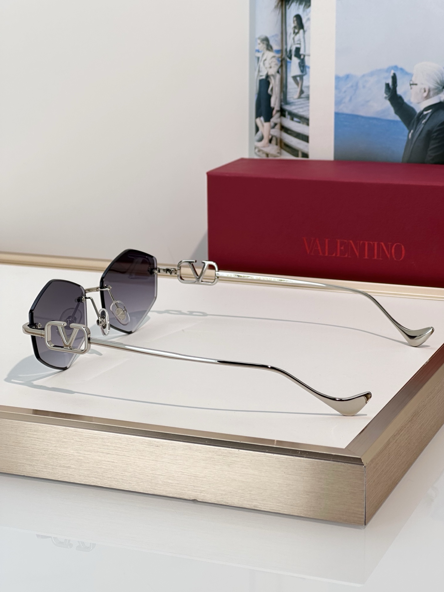Designer Sunglasses VLS-187