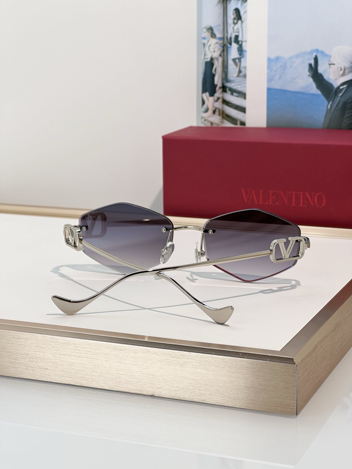 Designer Sunglasses VLS-187