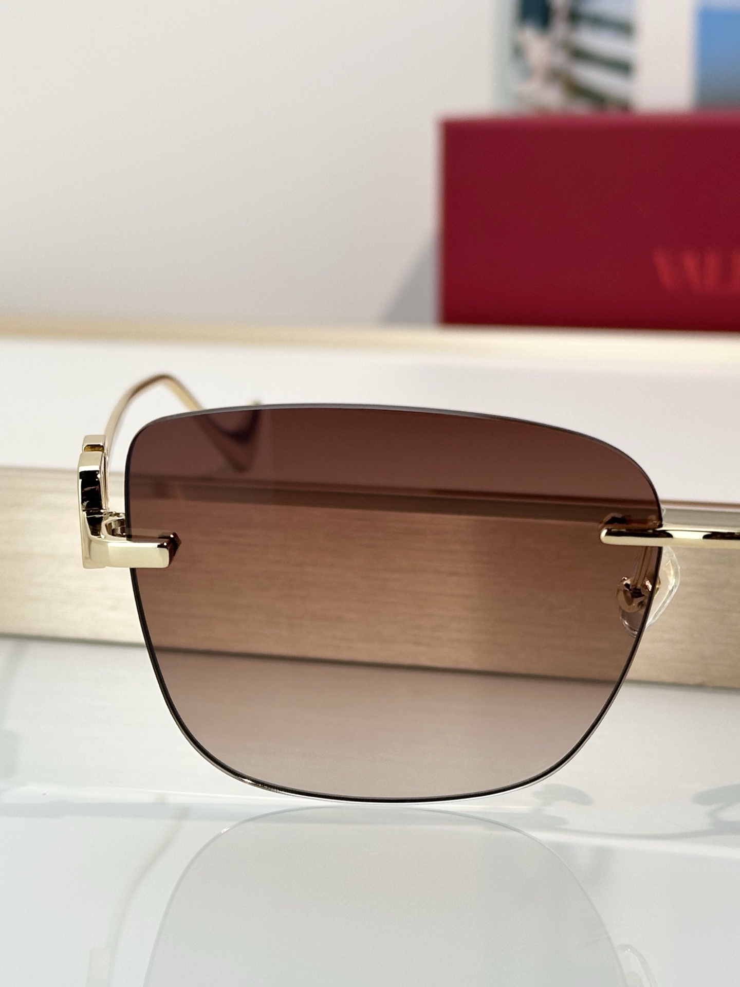 Designer Sunglasses VLS-189