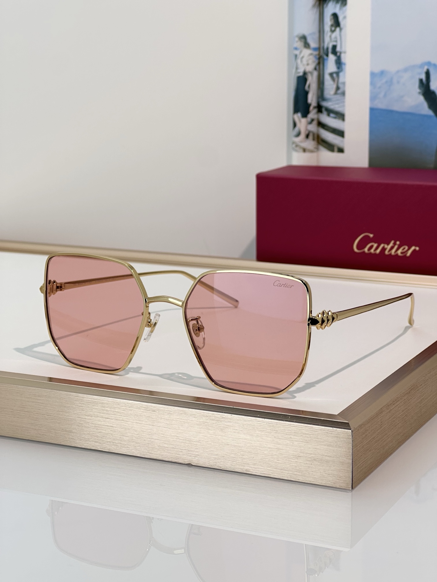 Designer Sunglasses CT0645S