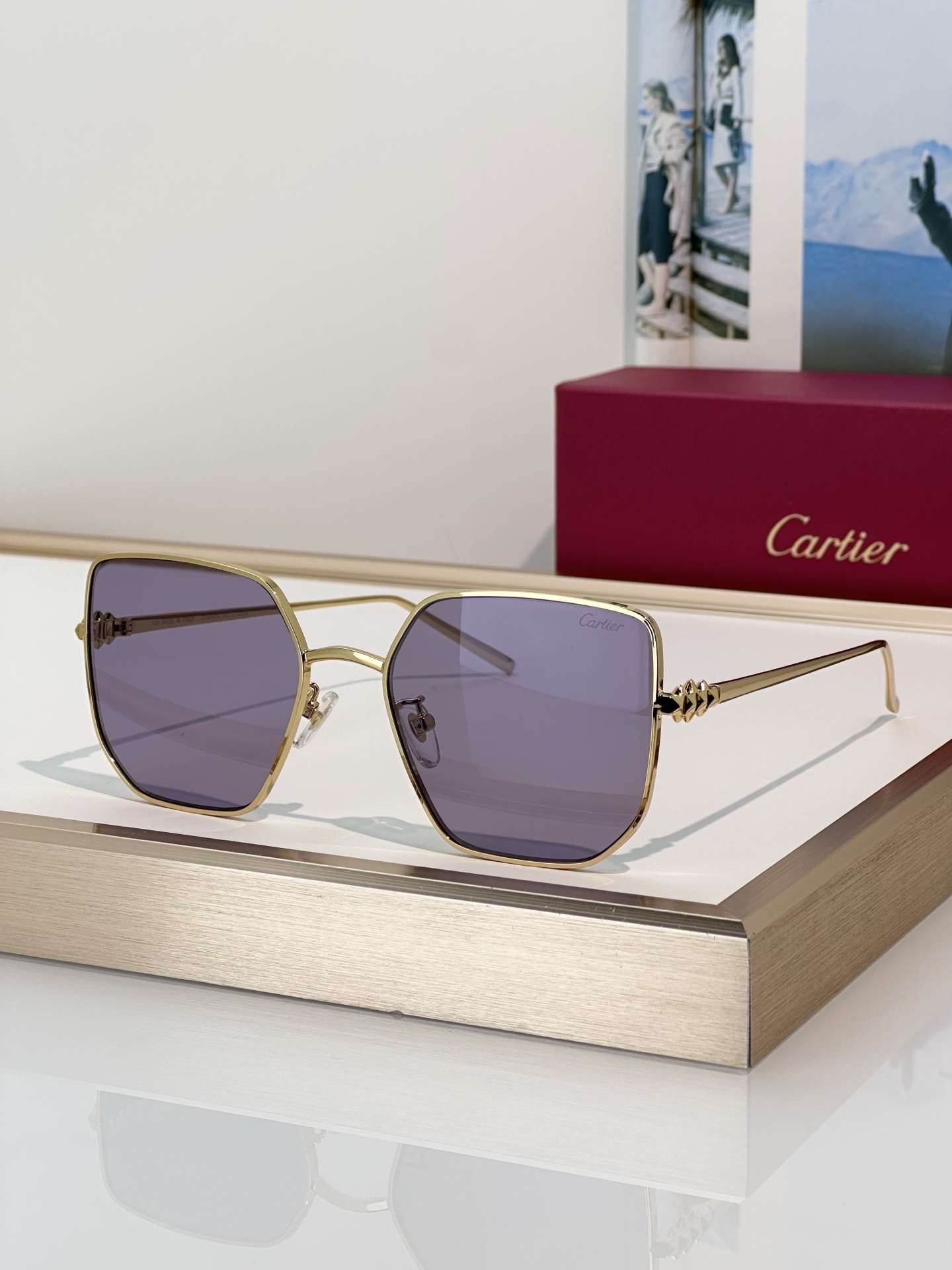 Designer Sunglasses CT0645S