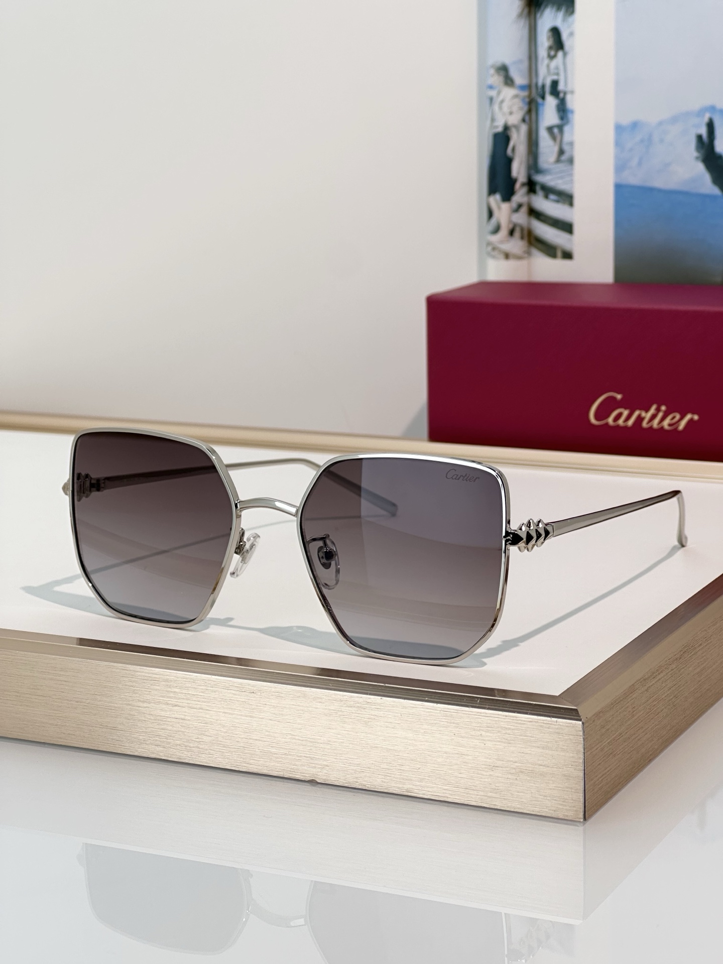 Designer Sunglasses CT0645S
