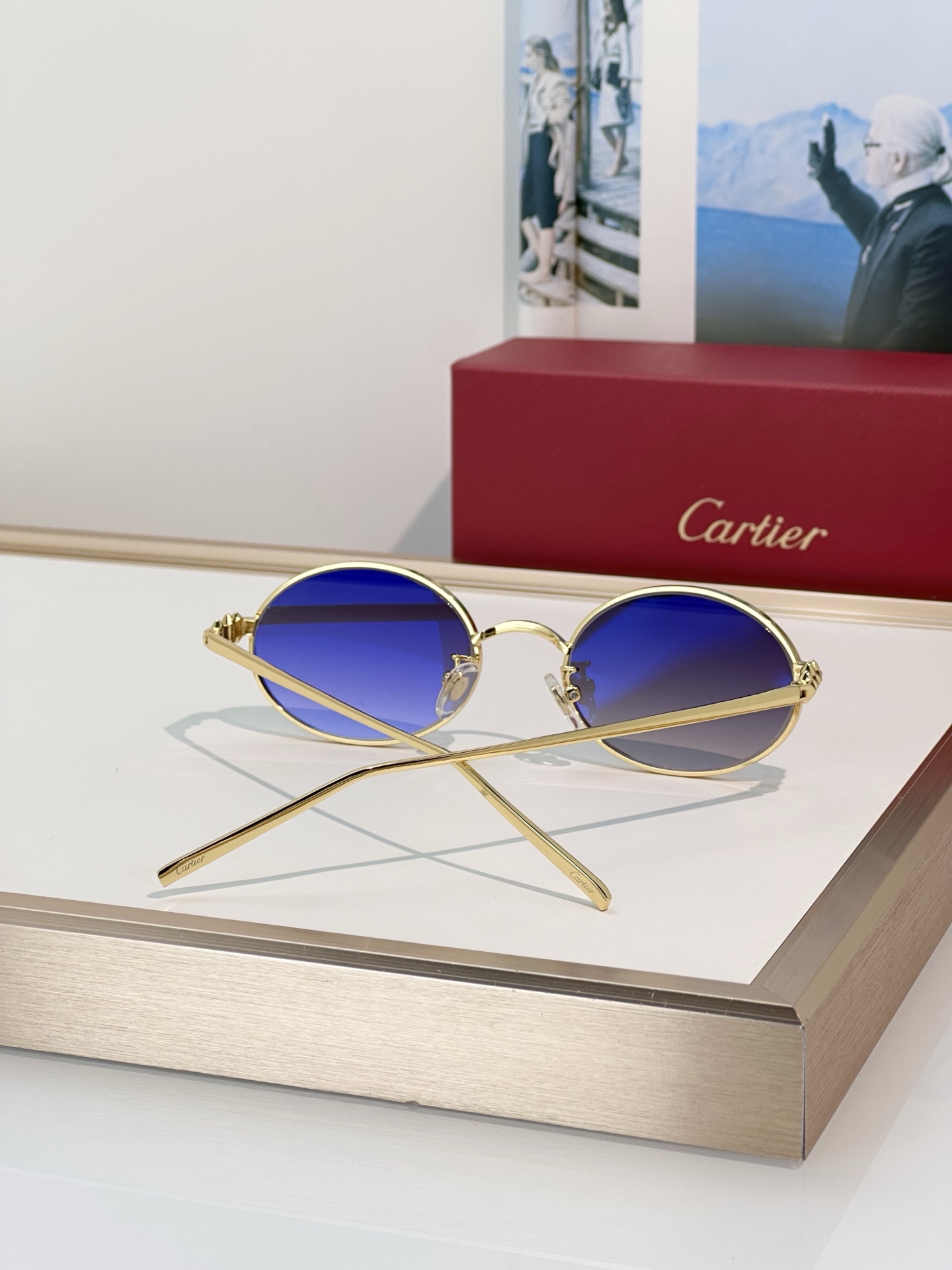 Designer Sunglasses CT0644S