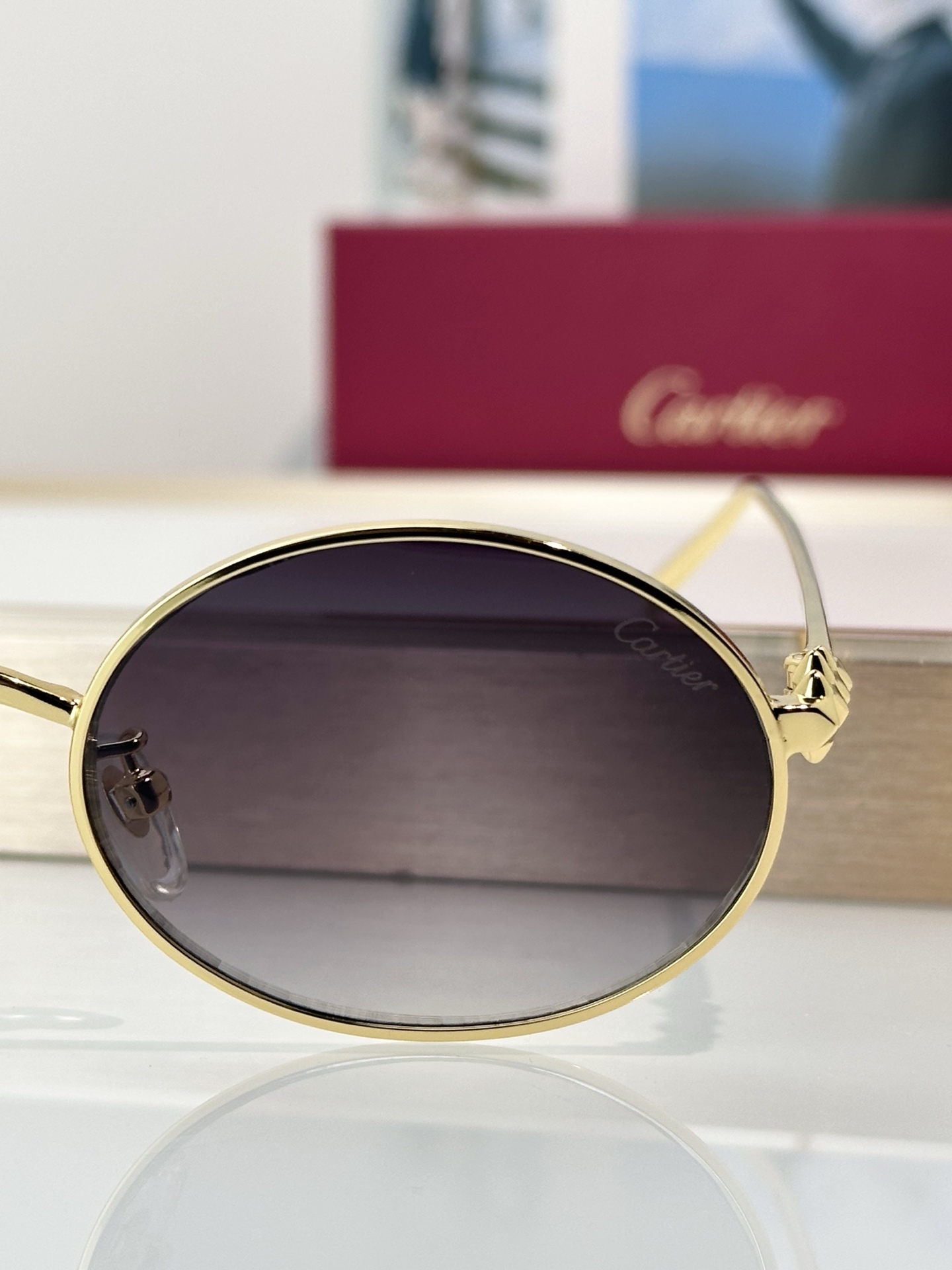 Designer Sunglasses CT0644S