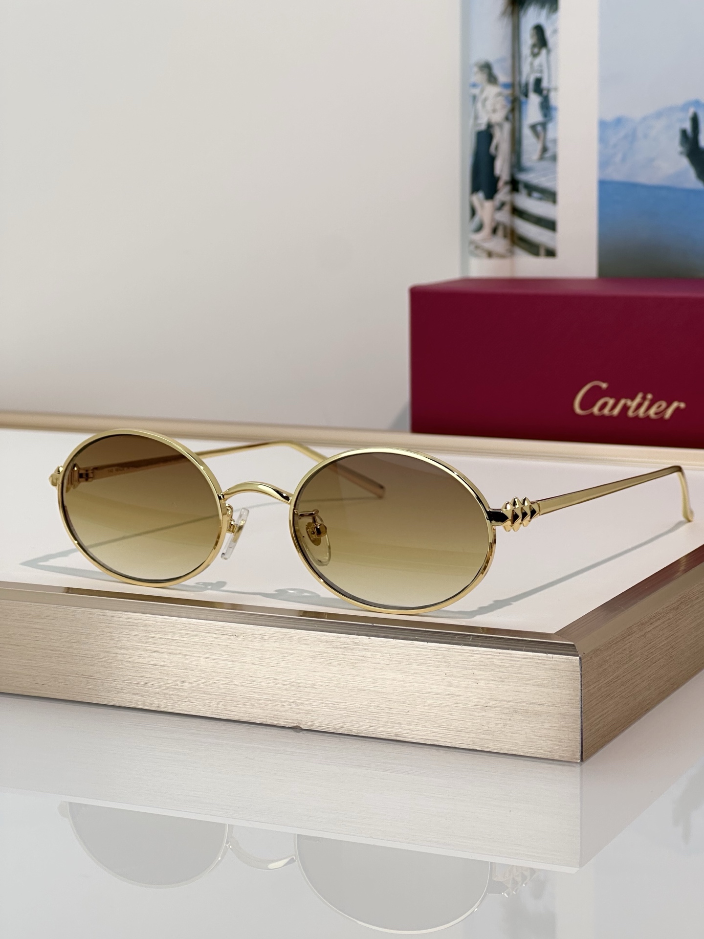 Designer Sunglasses CT0644S
