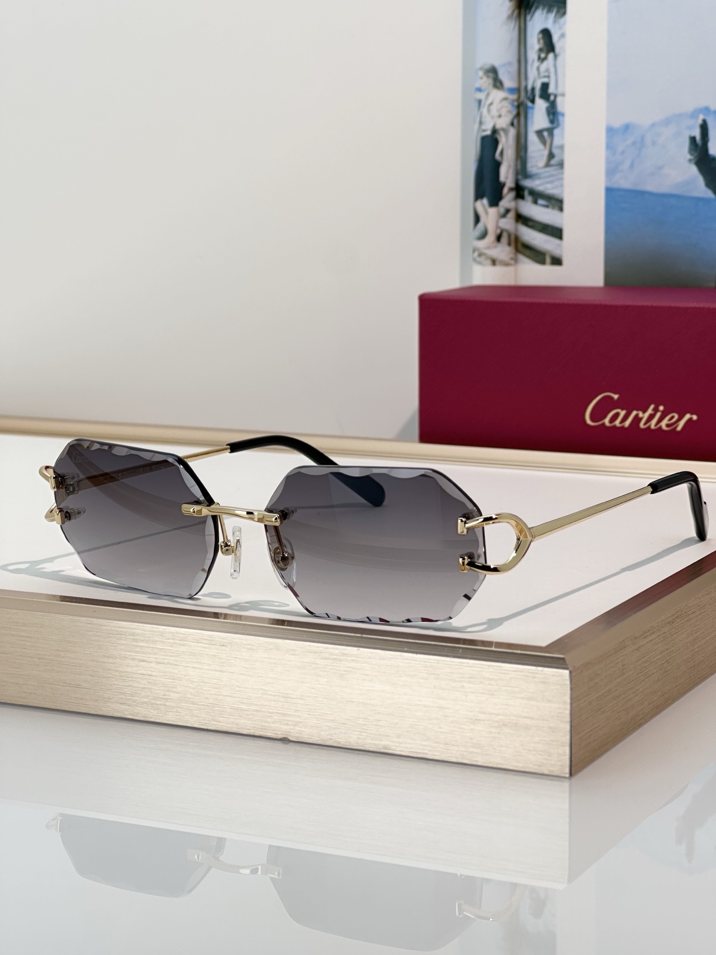 Designer Sunglasses CT0333S