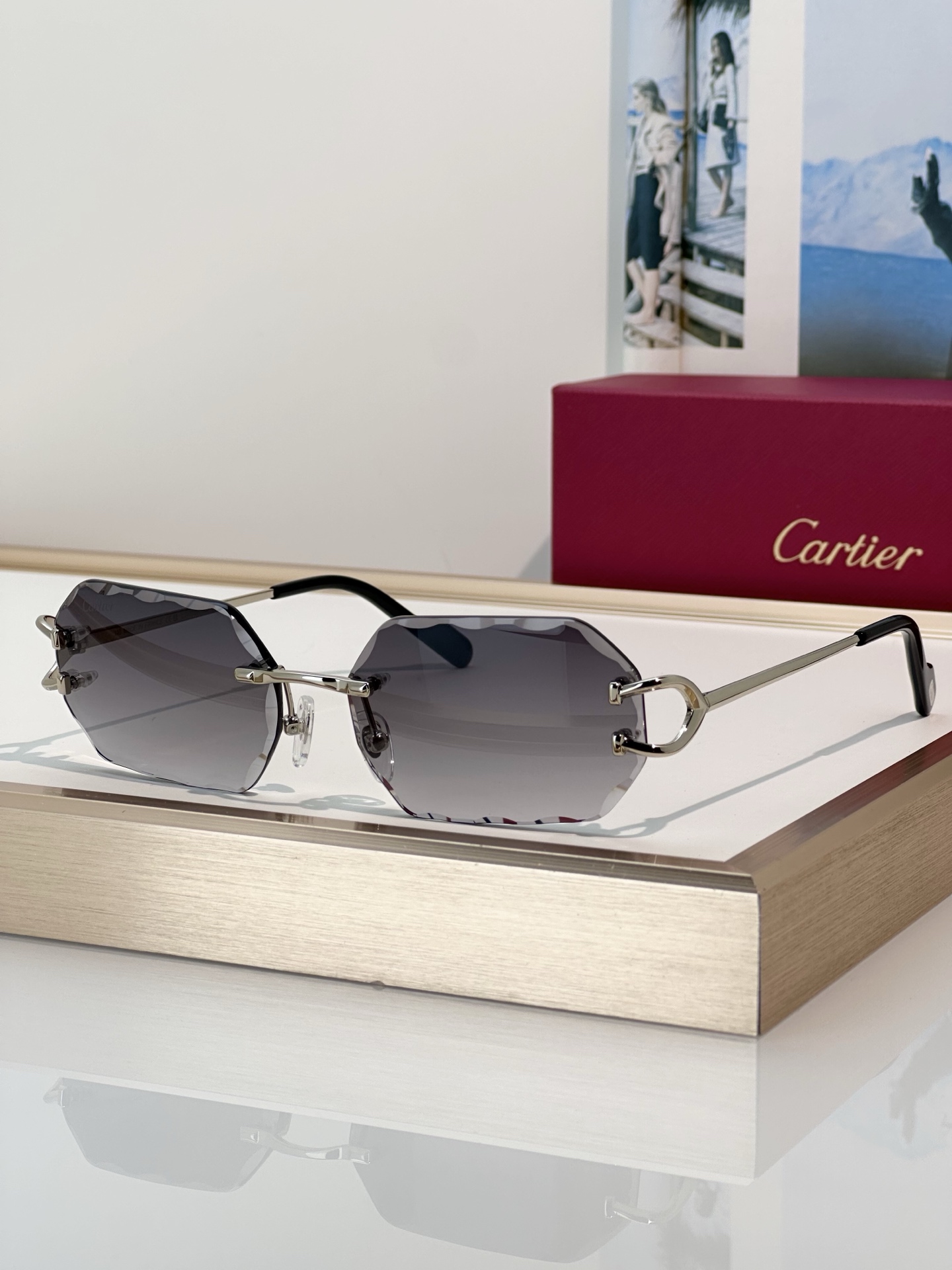 Designer Sunglasses CT0333S