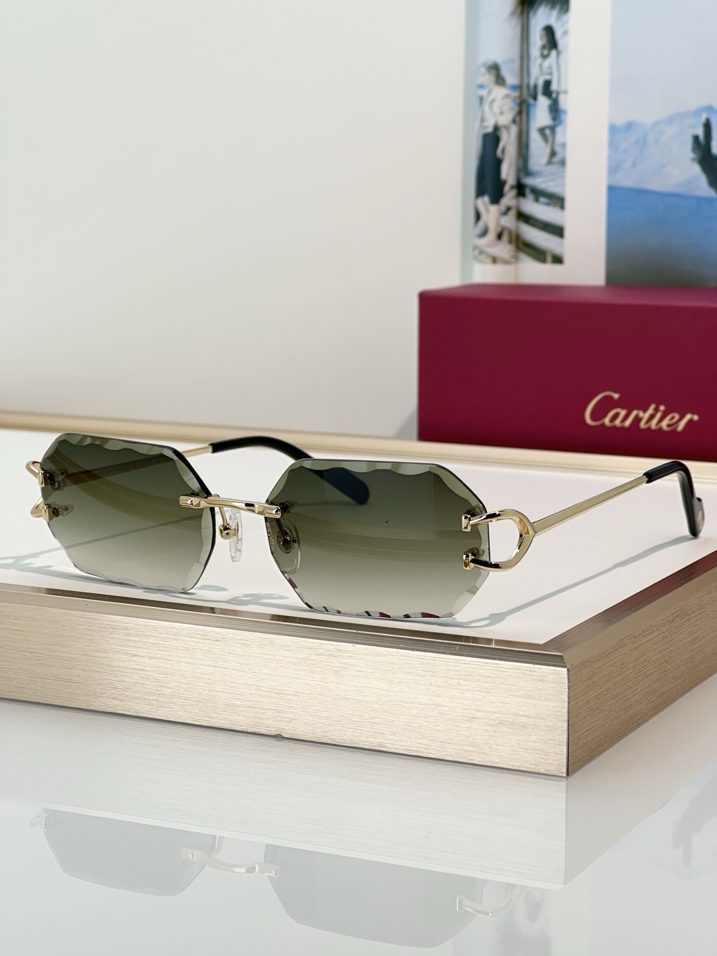 Designer Sunglasses CT0333S