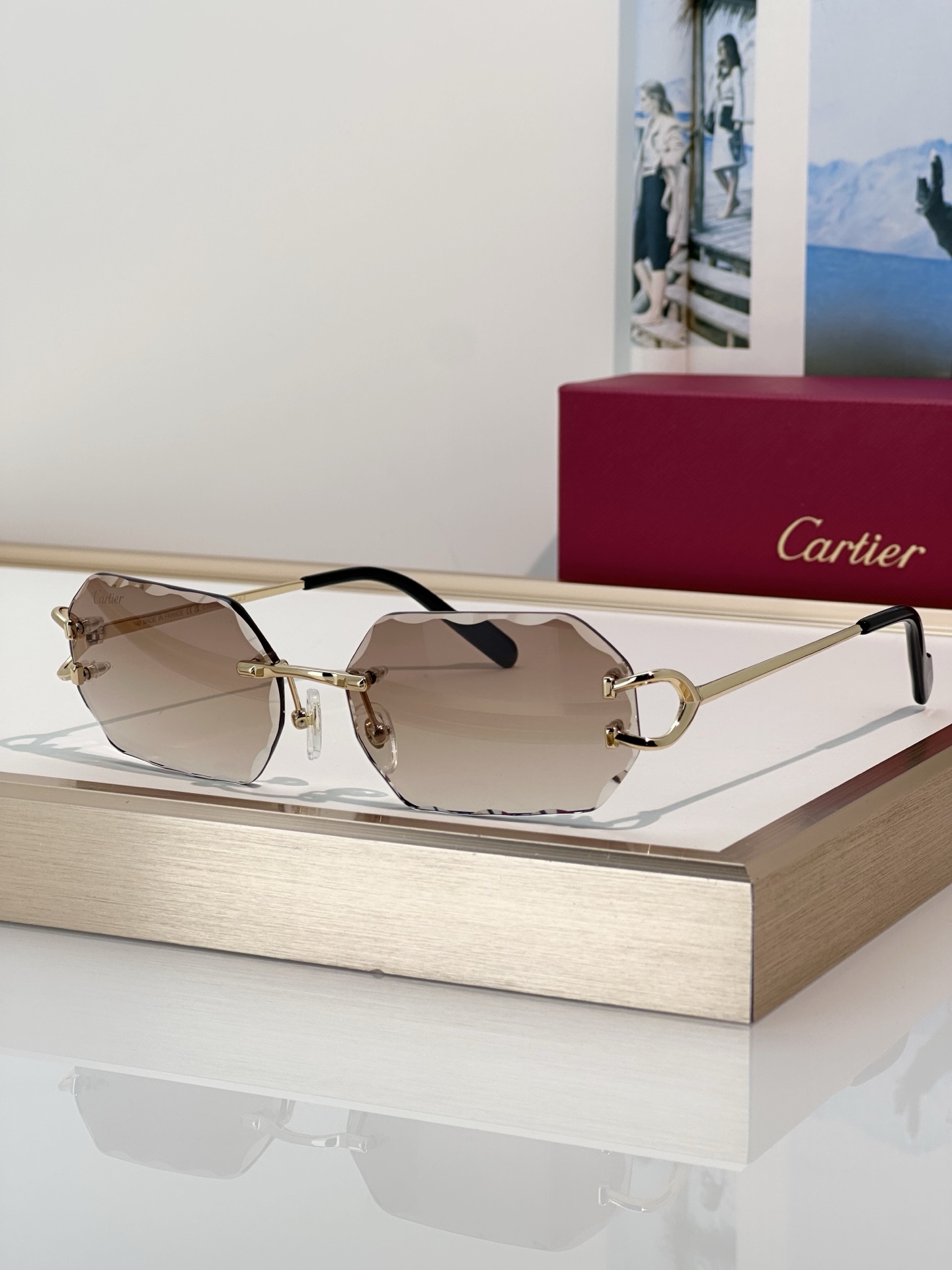 Designer Sunglasses CT0333S