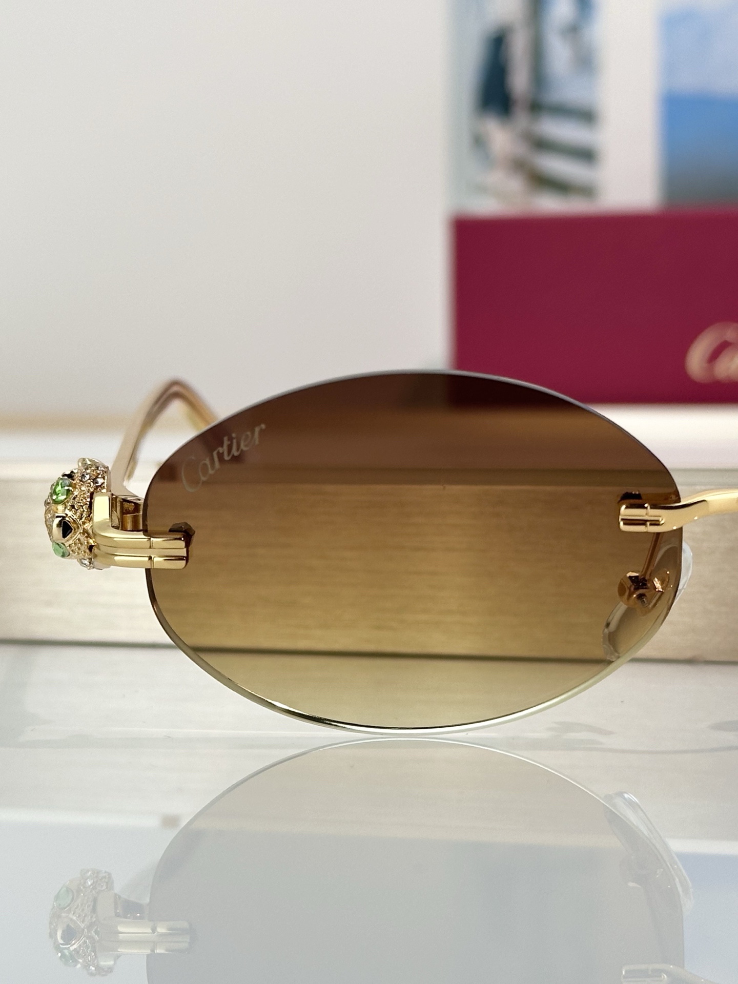Designer Sunglasses CT0648S