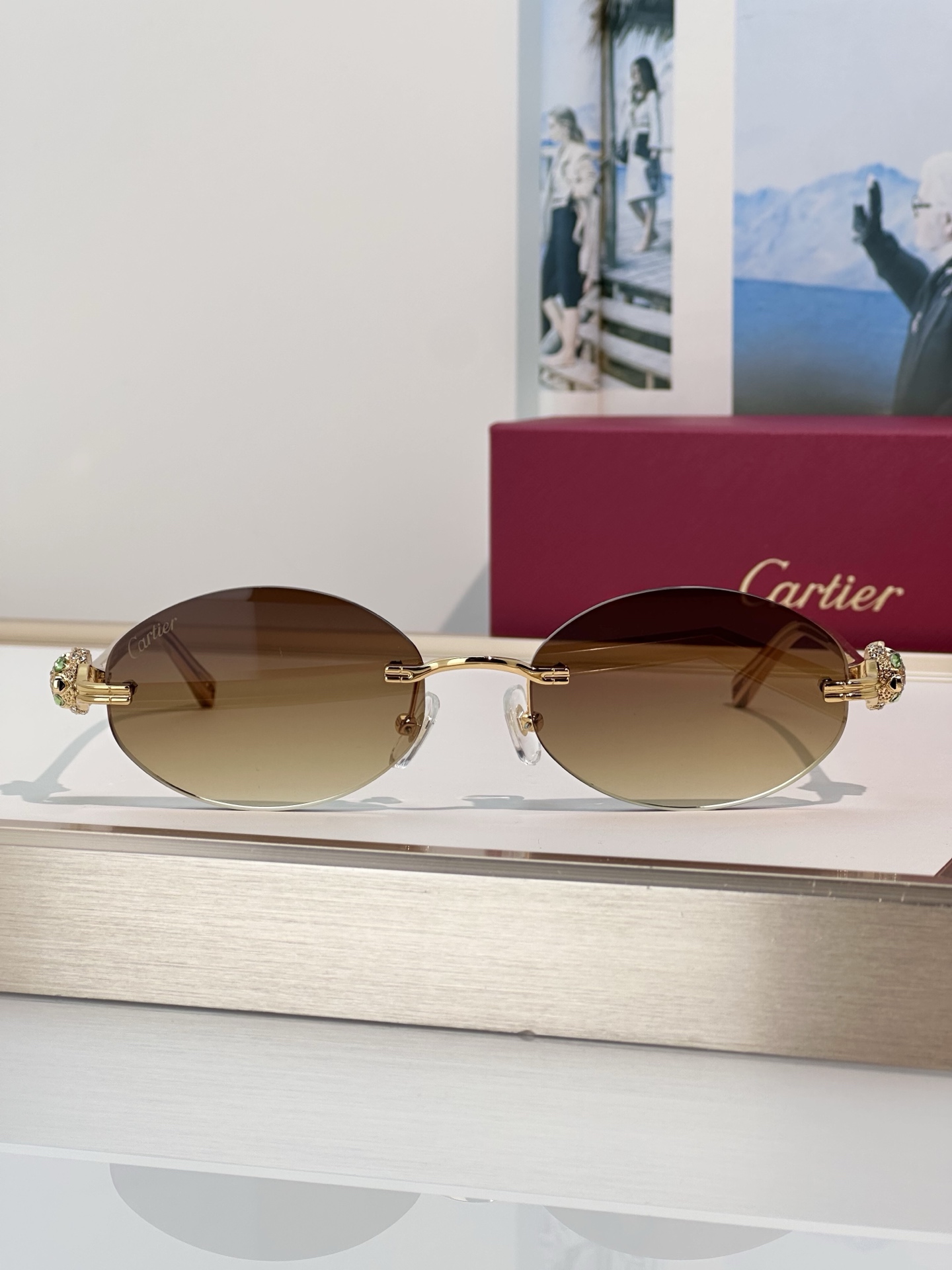 Designer Sunglasses CT0648S