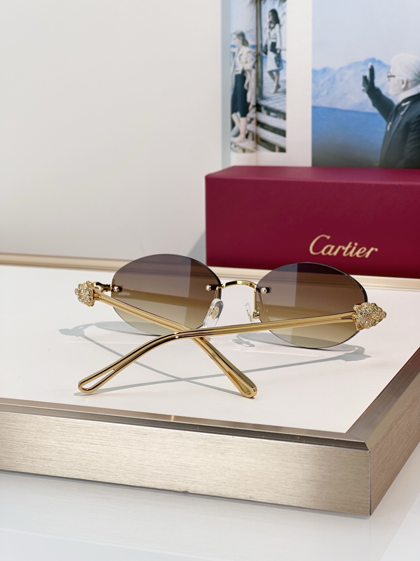 Designer Sunglasses CT0648S