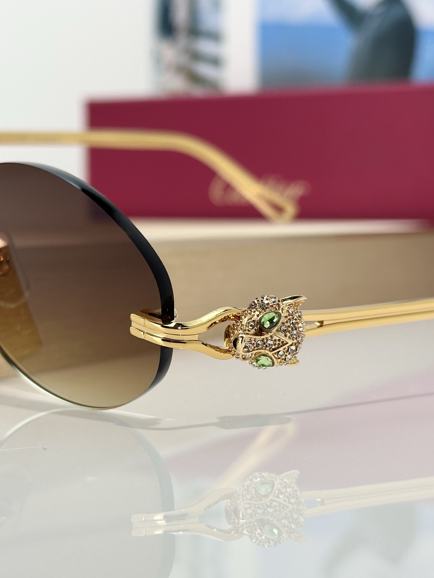 Designer Sunglasses CT0648S