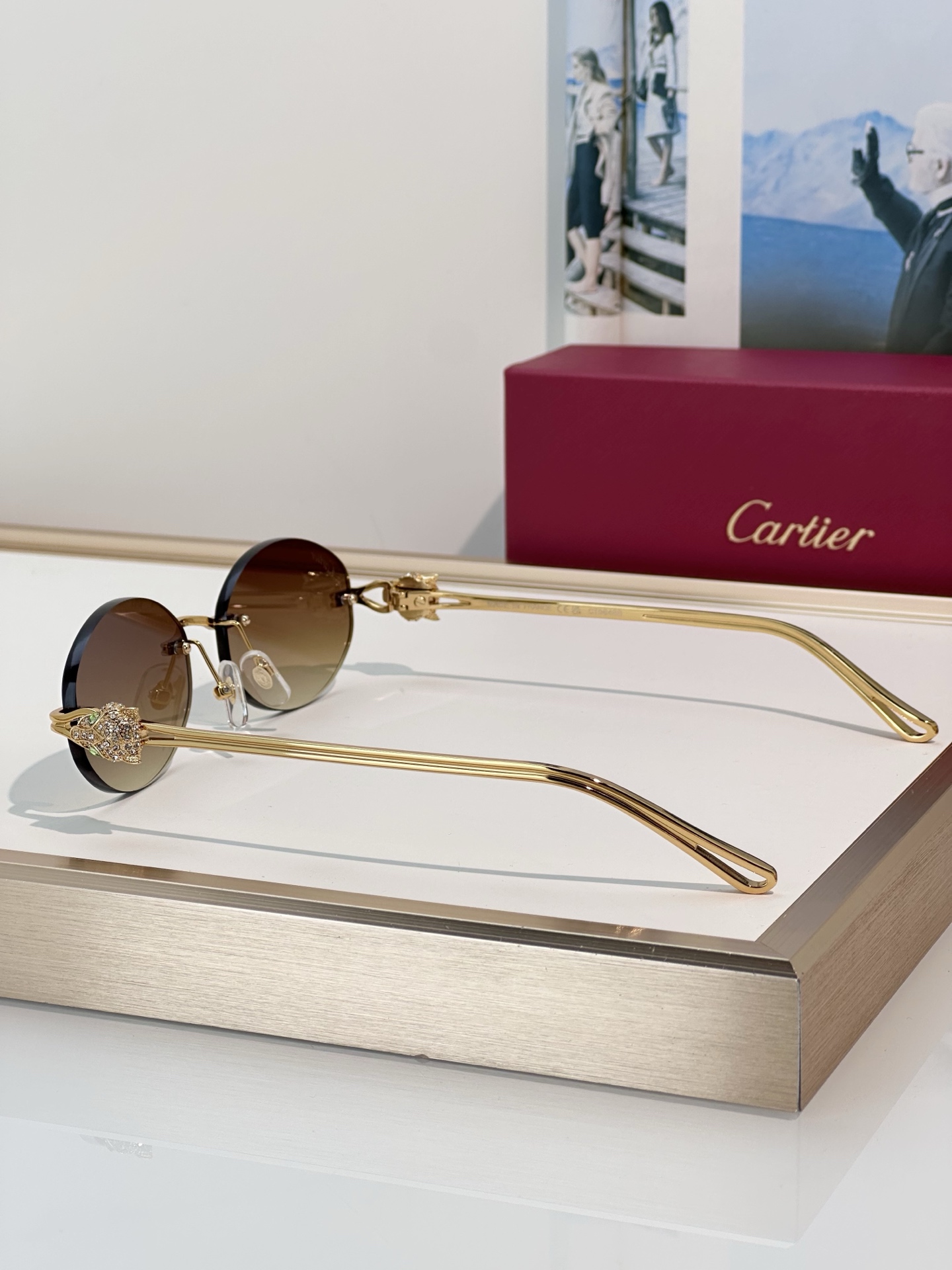 Designer Sunglasses CT0648S