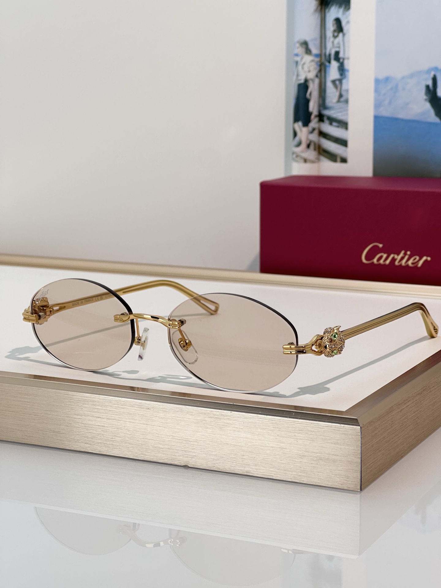 Designer Sunglasses CT0648S