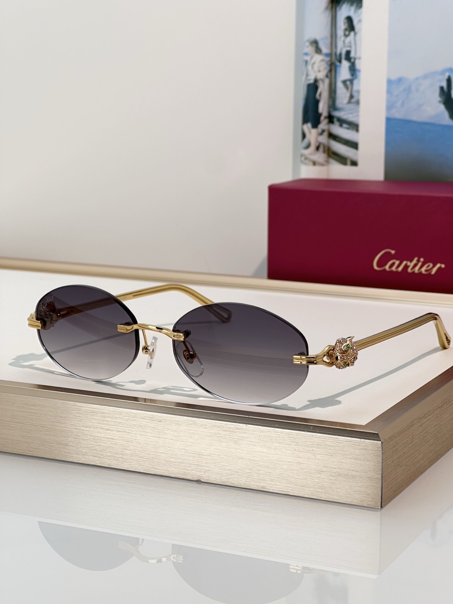 Designer Sunglasses CT0648S