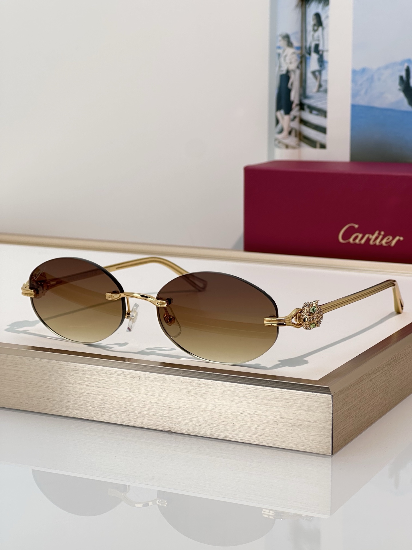 Designer Sunglasses CT0648S