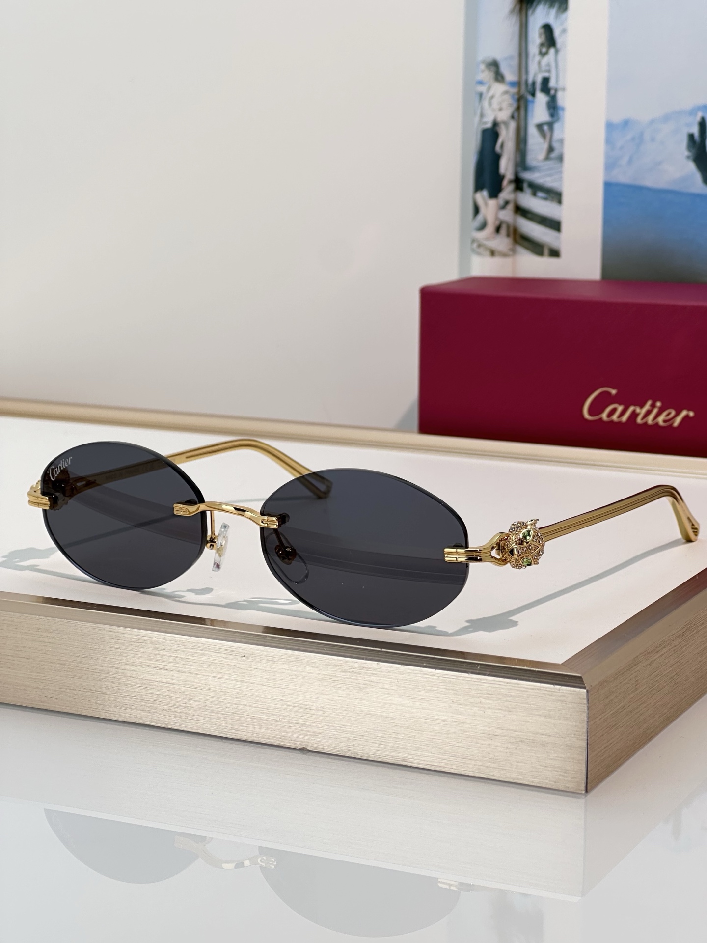 Designer Sunglasses CT0648S