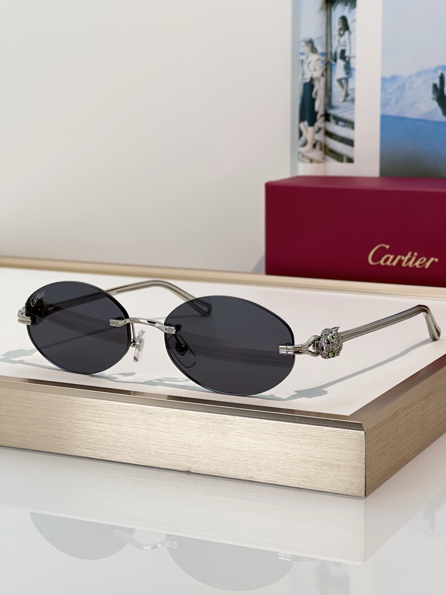 Designer Sunglasses CT0648S