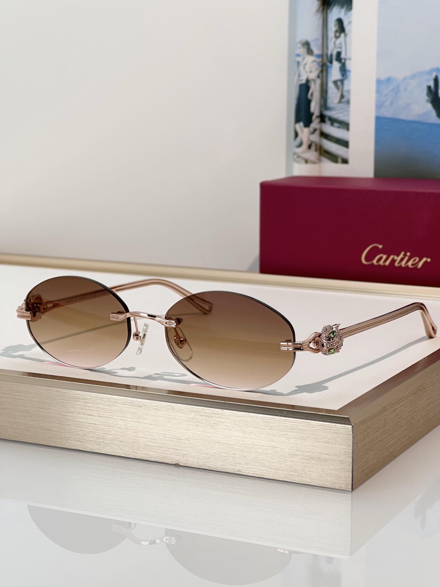 Designer Sunglasses CT0648S