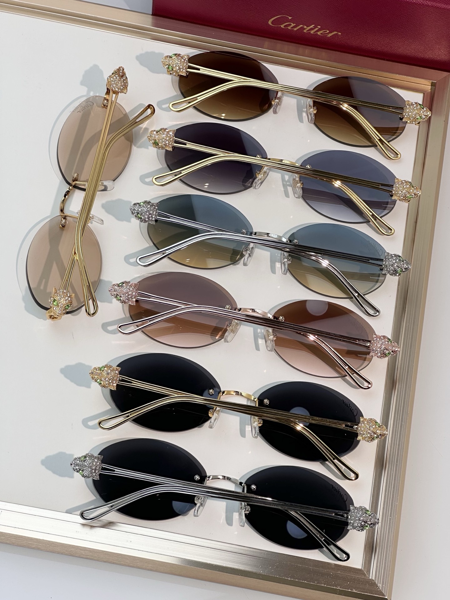 Designer Sunglasses CT0648S