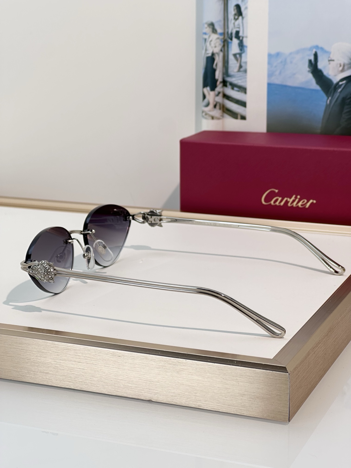 Designer Sunglasses CT0649S