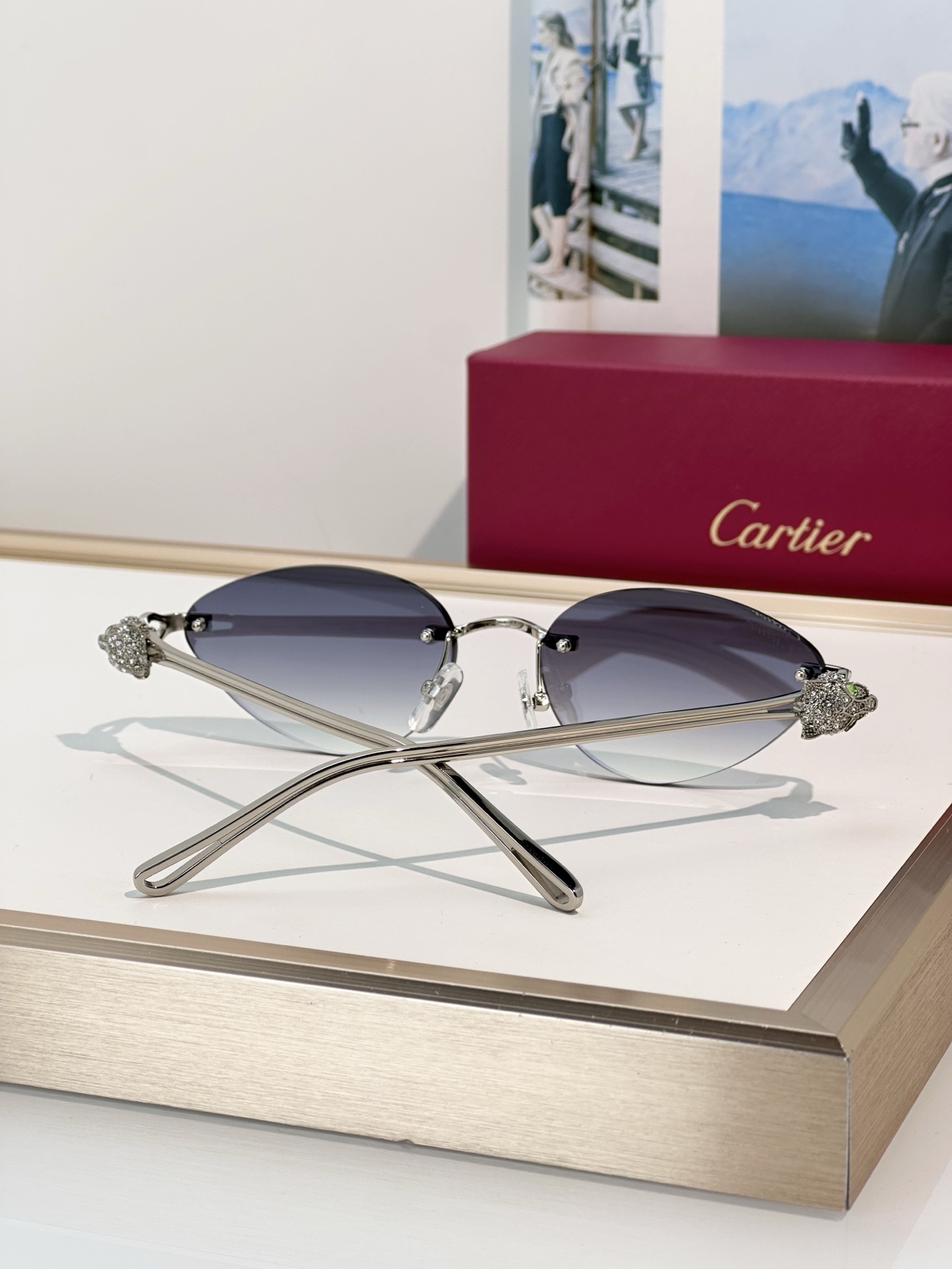 Designer Sunglasses CT0649S