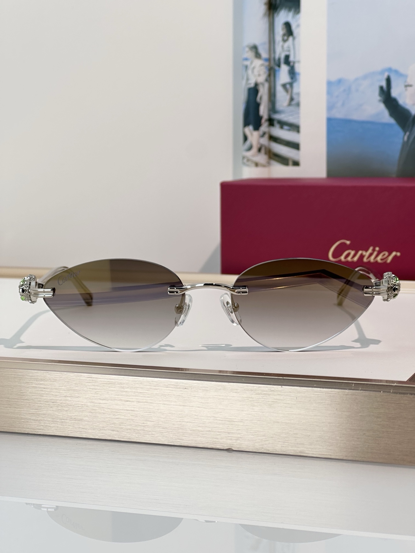 Designer Sunglasses CT0649S