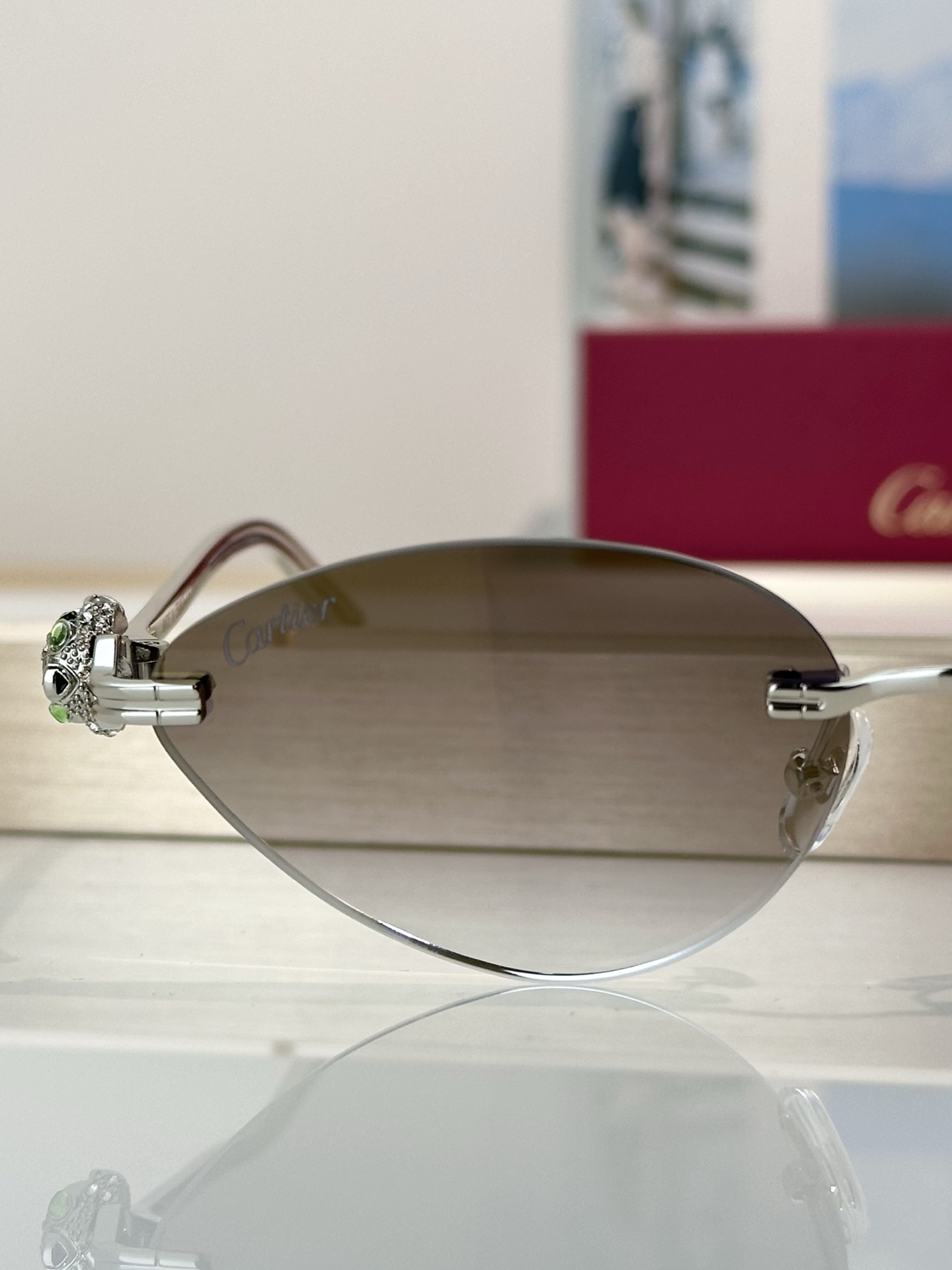 Designer Sunglasses CT0649S