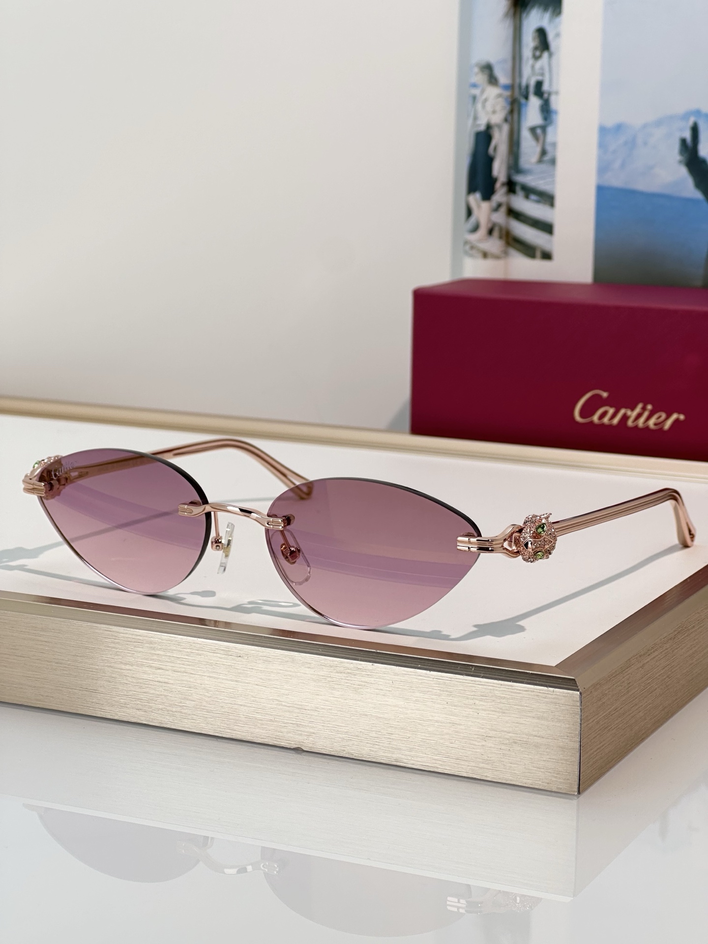 Designer Sunglasses CT0649S