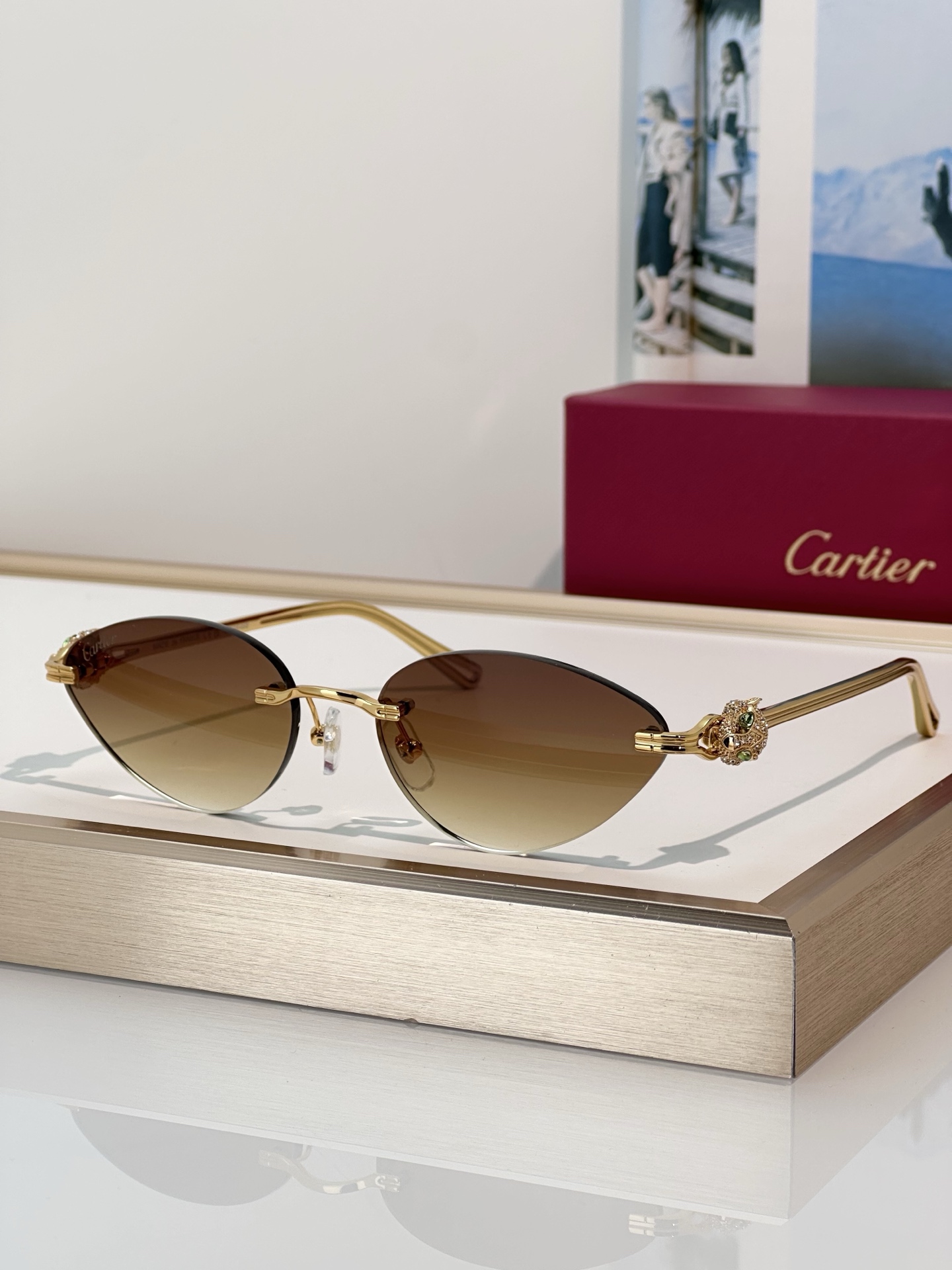 Designer Sunglasses CT0649S