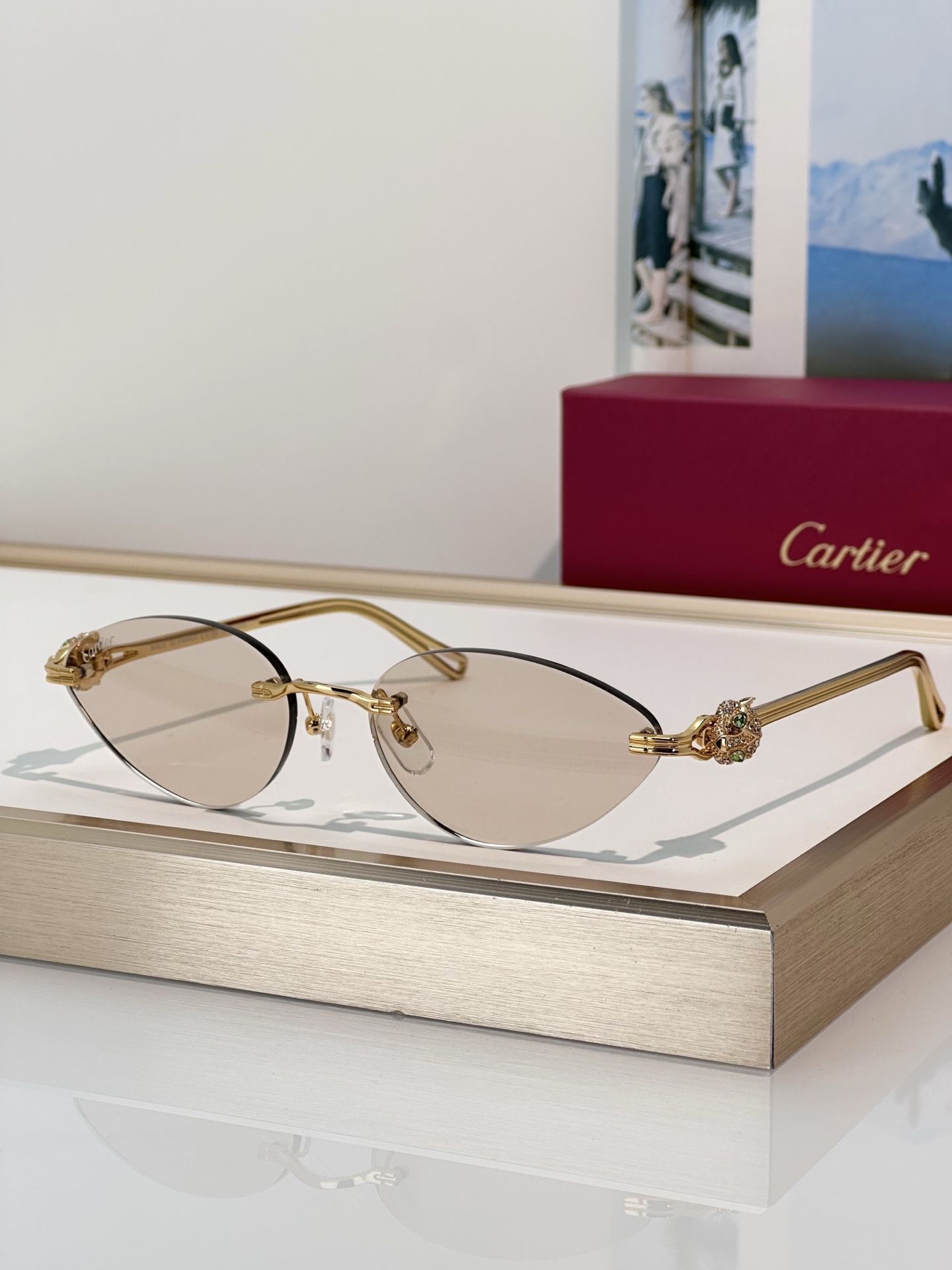 Designer Sunglasses CT0649S