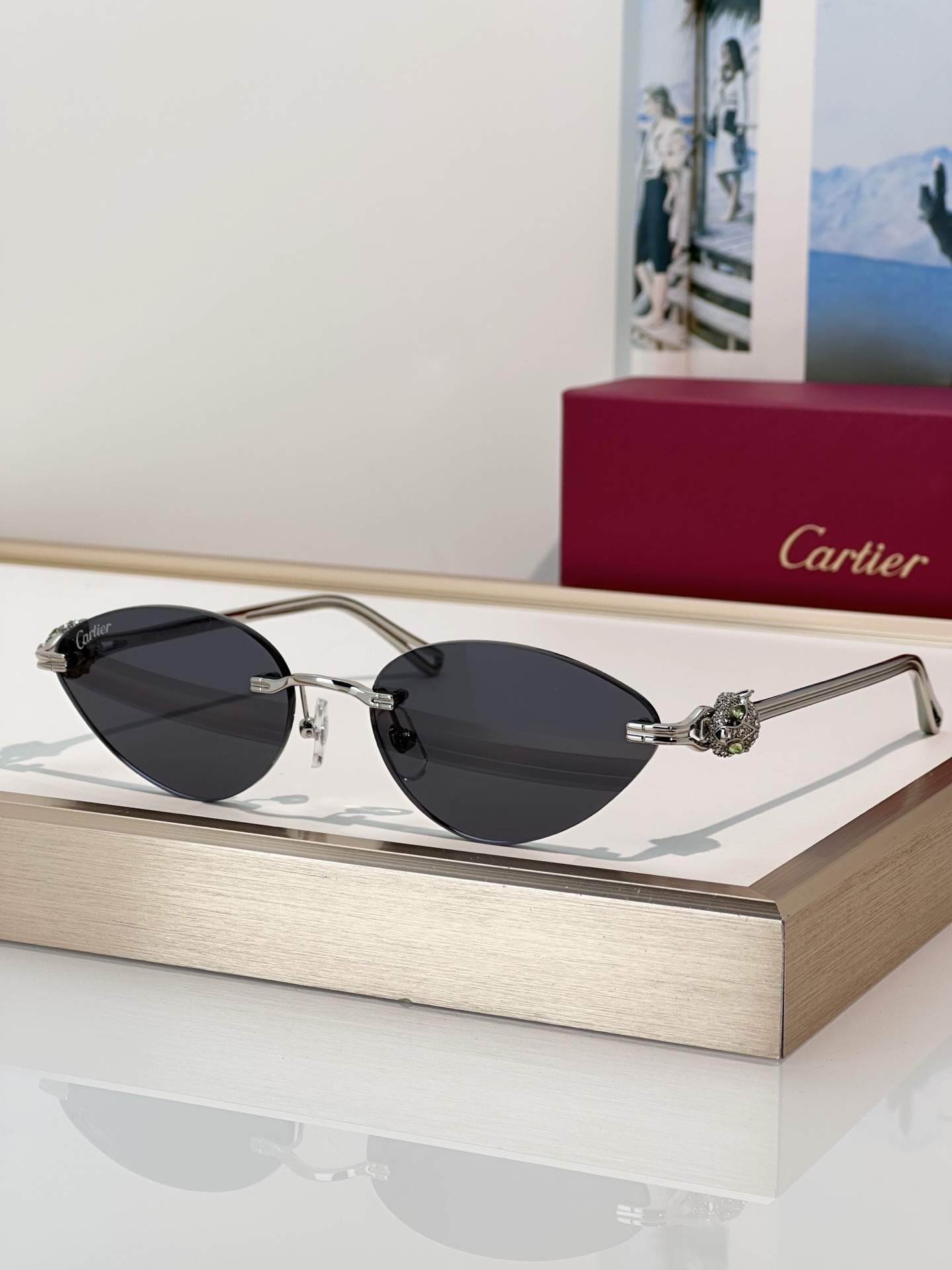 Designer Sunglasses CT0649S