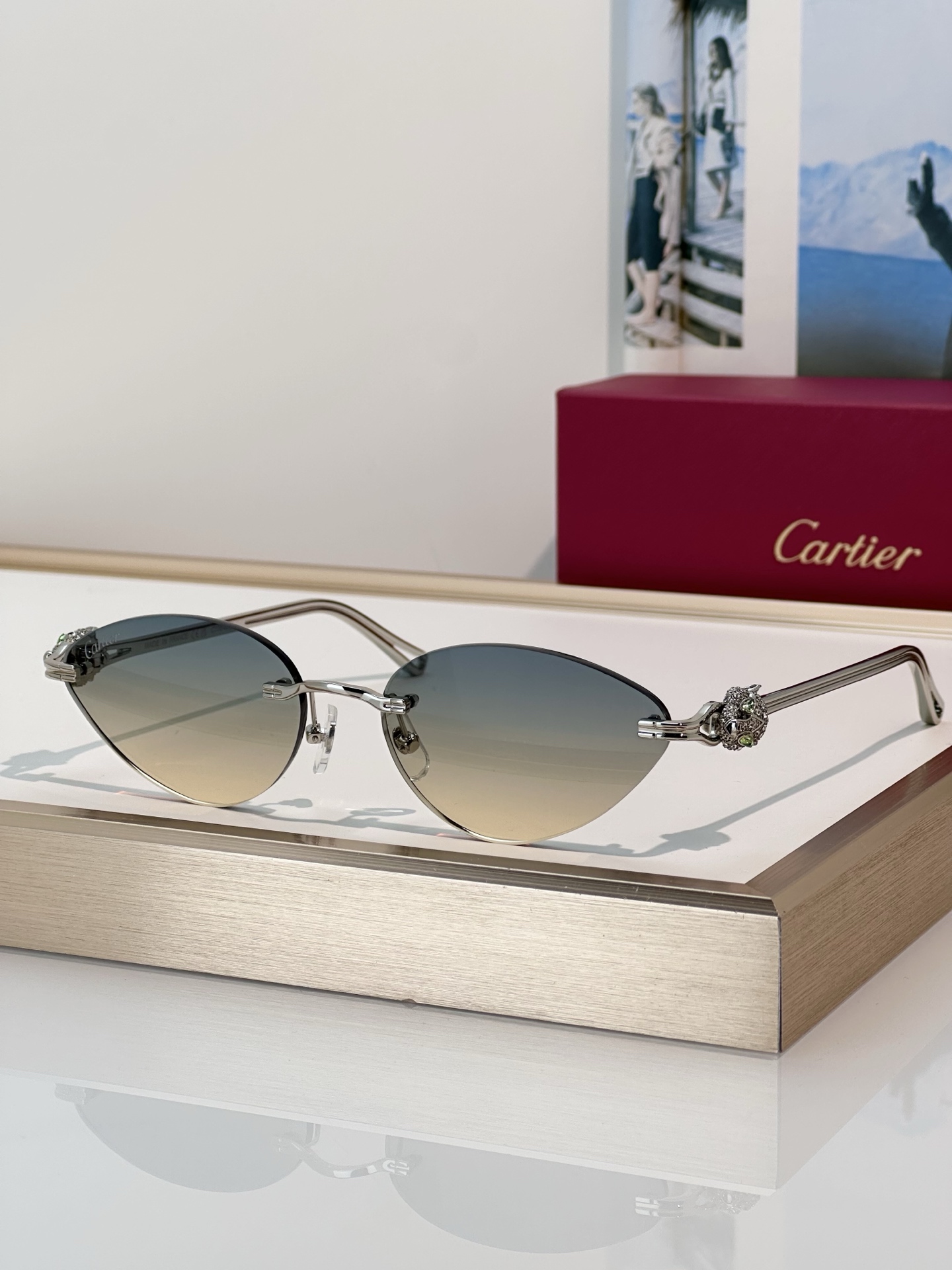 Designer Sunglasses CT0649S