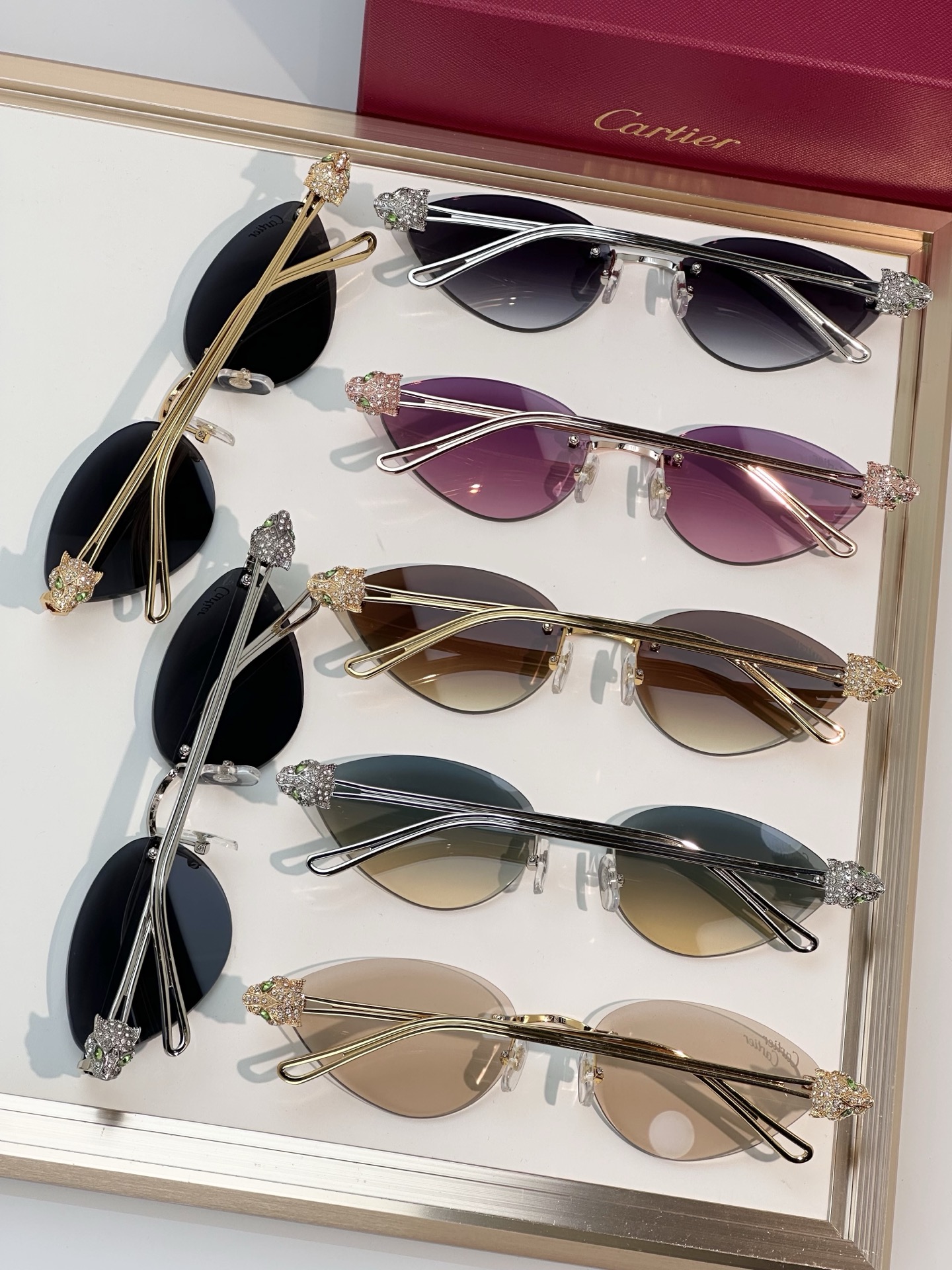 Designer Sunglasses CT0649S