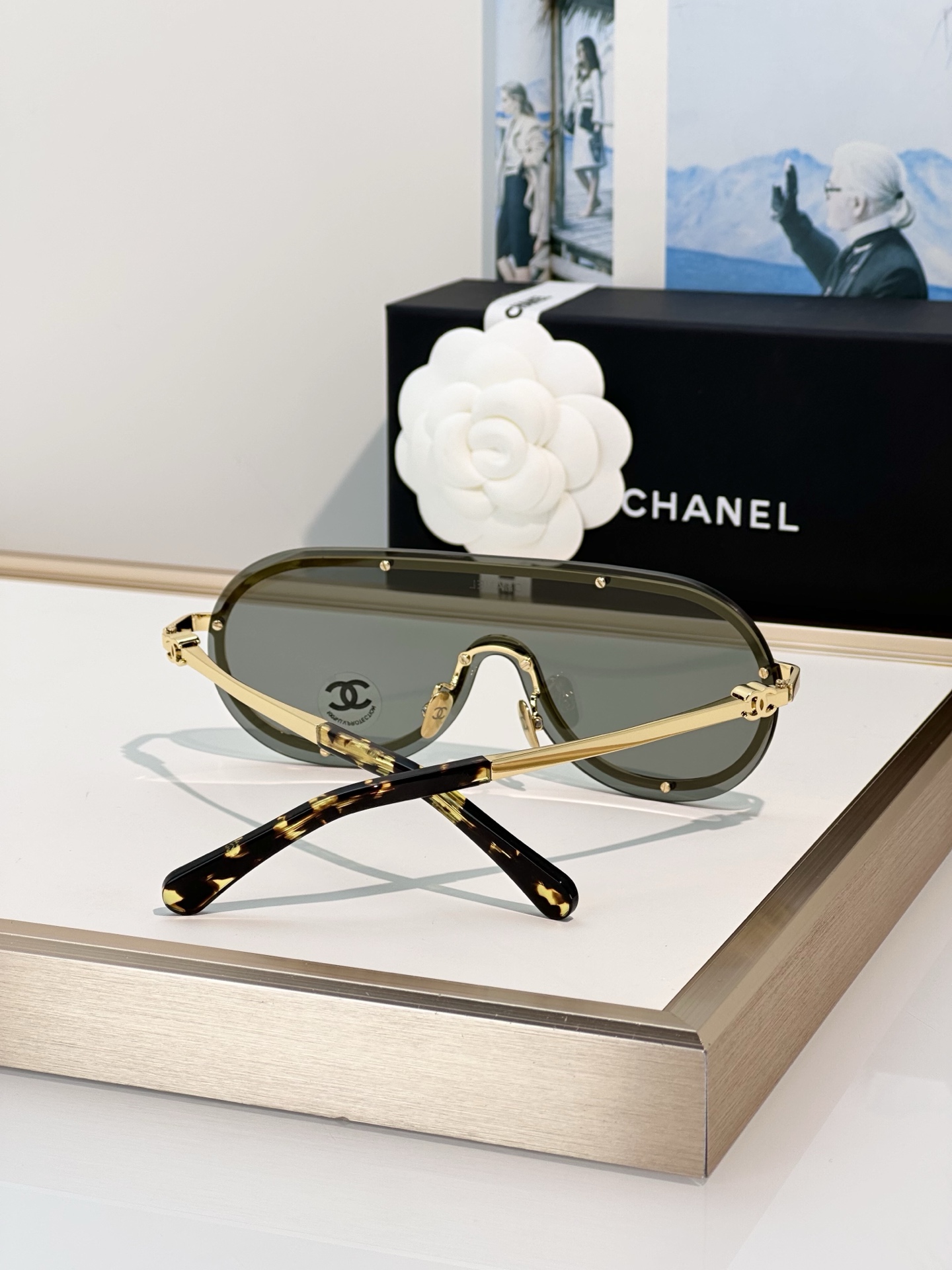 Chanel Sunglasses CH9583