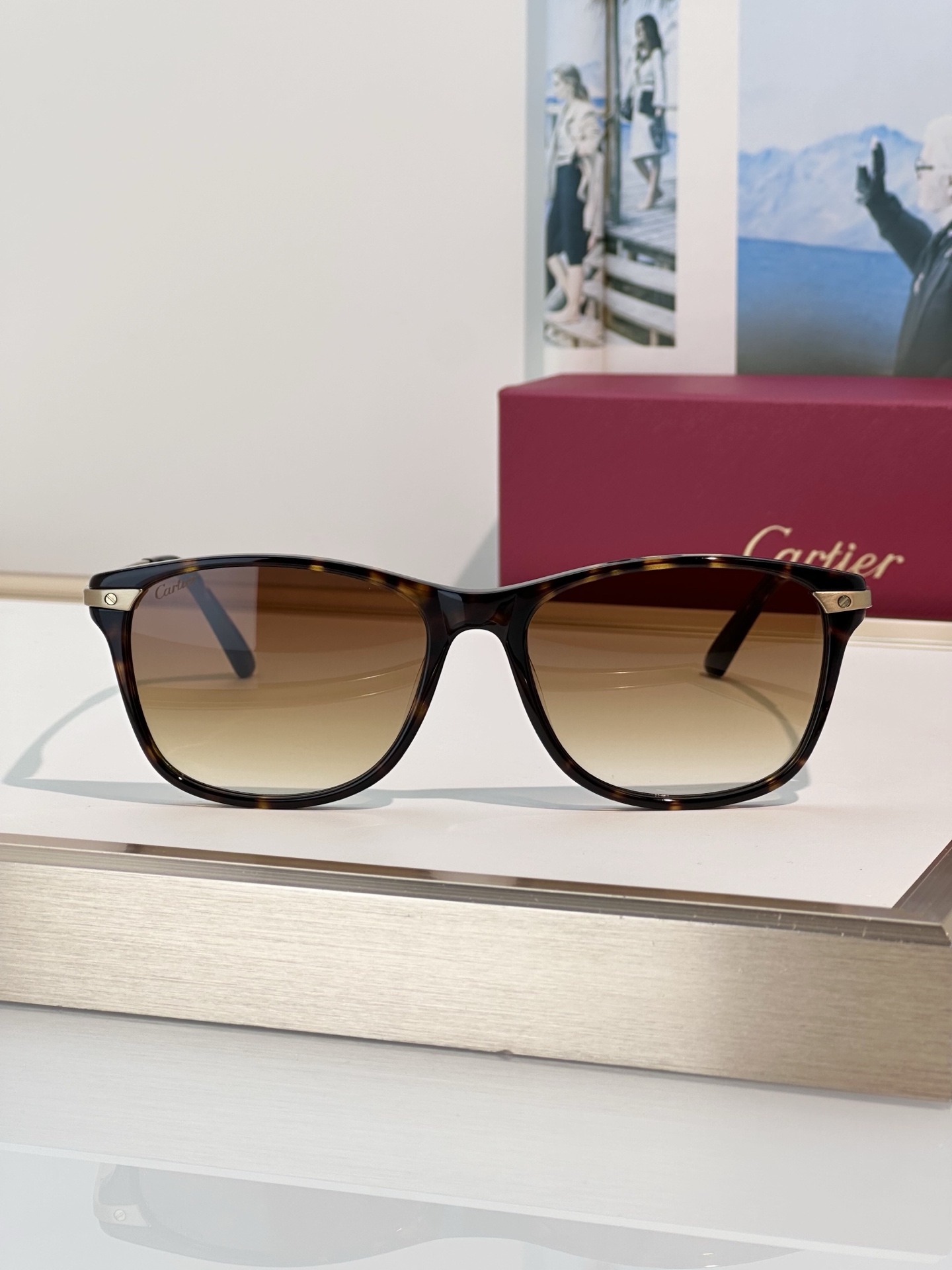 Designer Sunglasses CT0106O