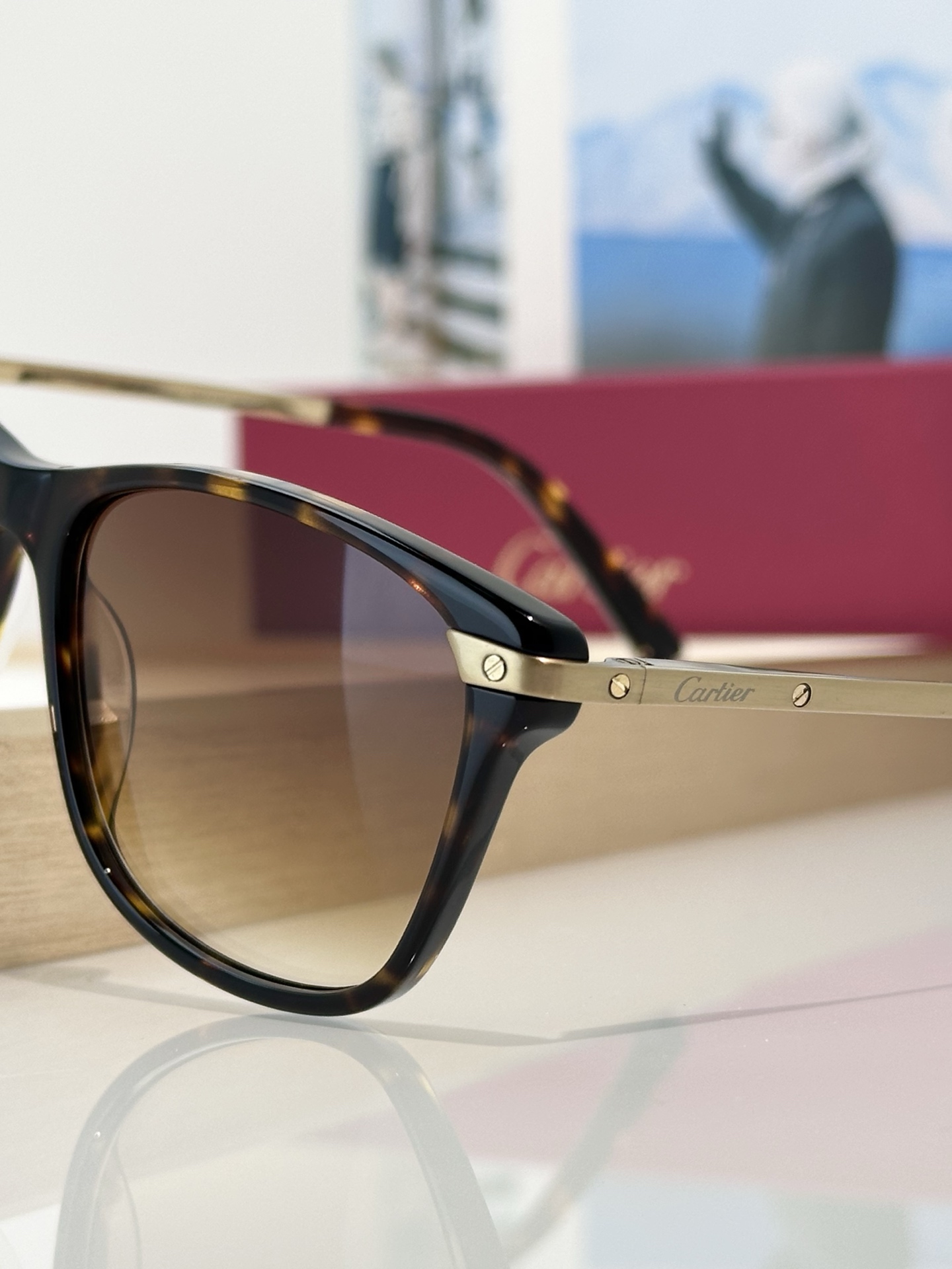 Designer Sunglasses CT0106O