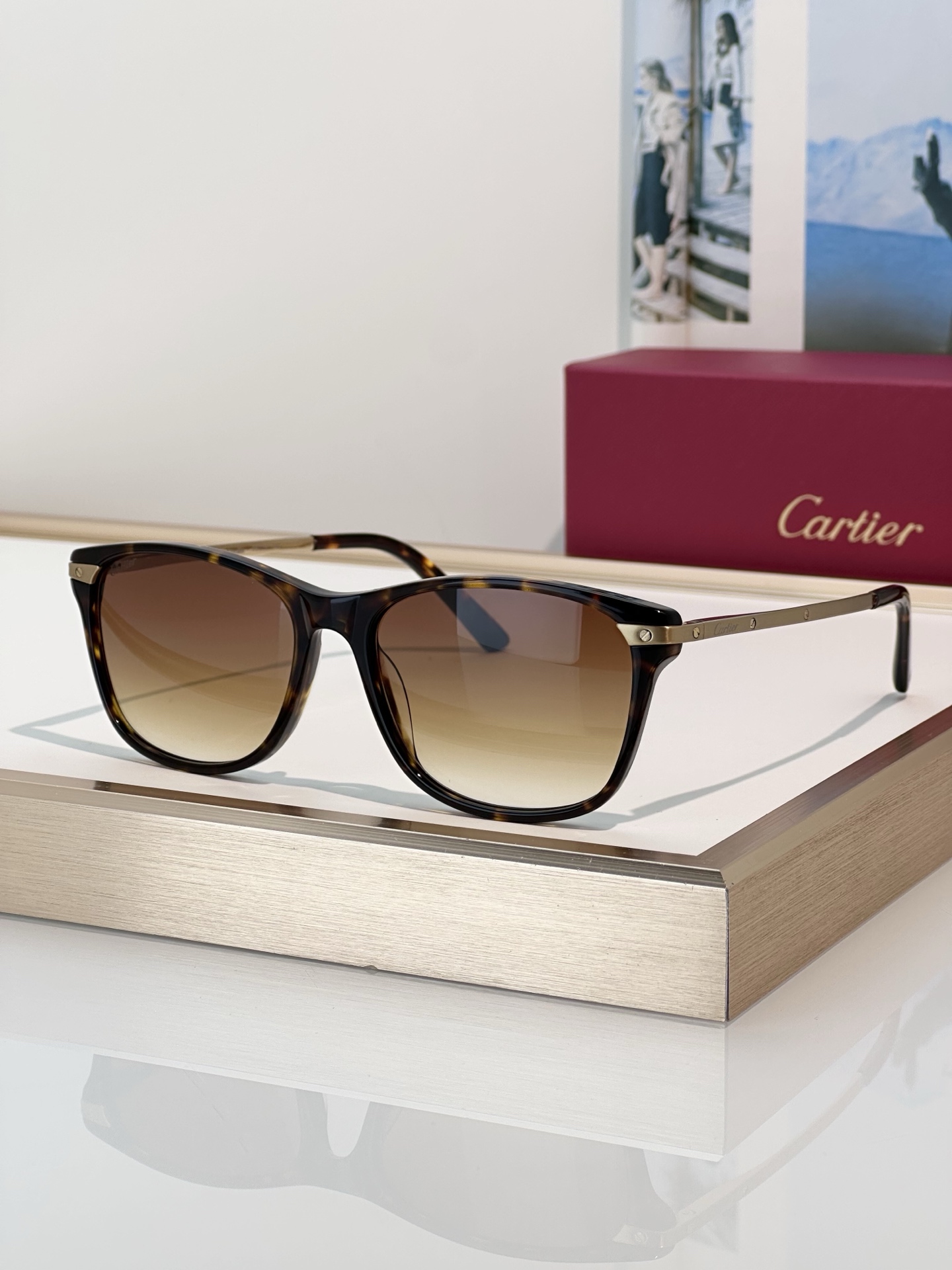 Designer Sunglasses CT0106O