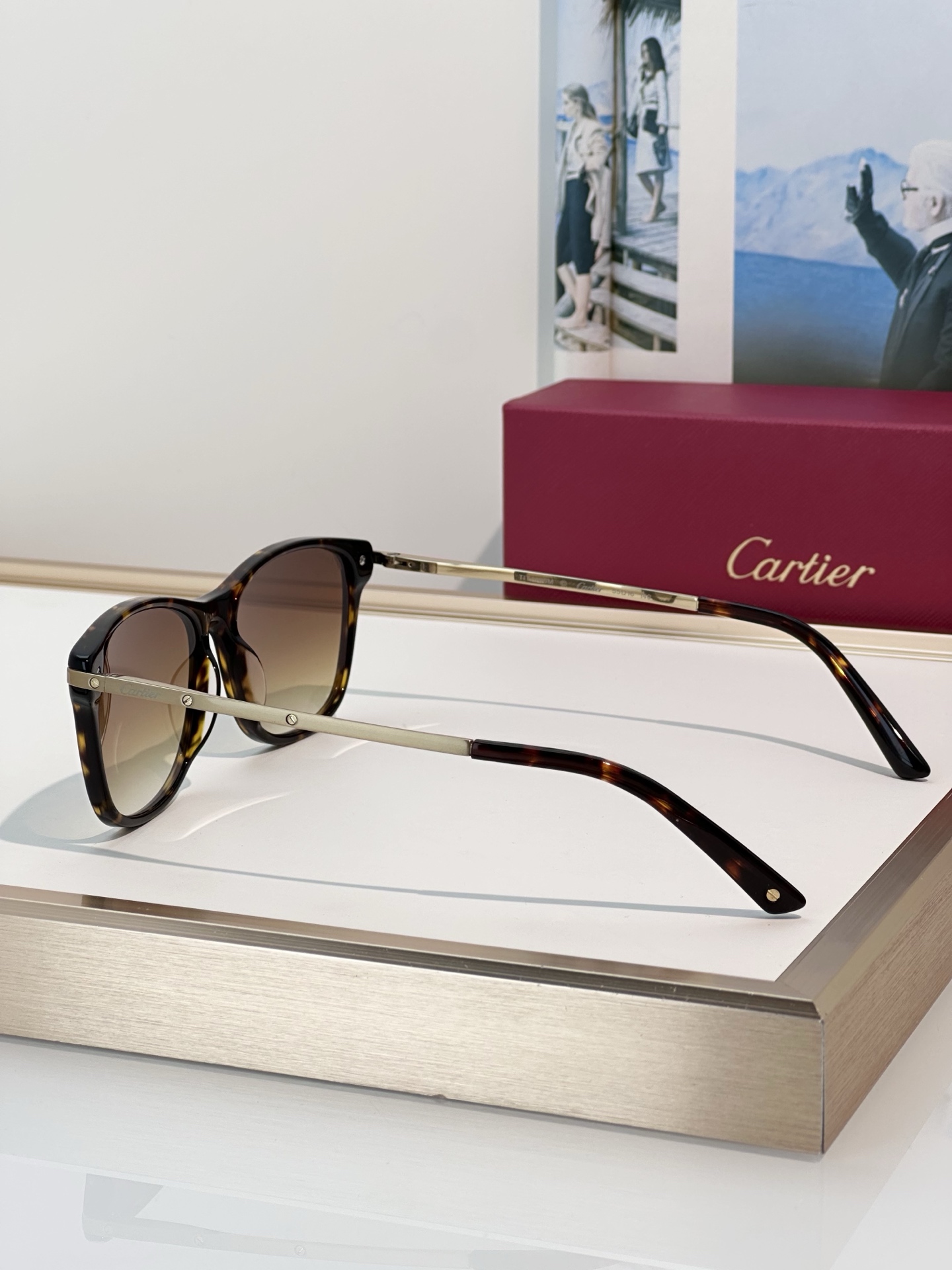 Designer Sunglasses CT0106O