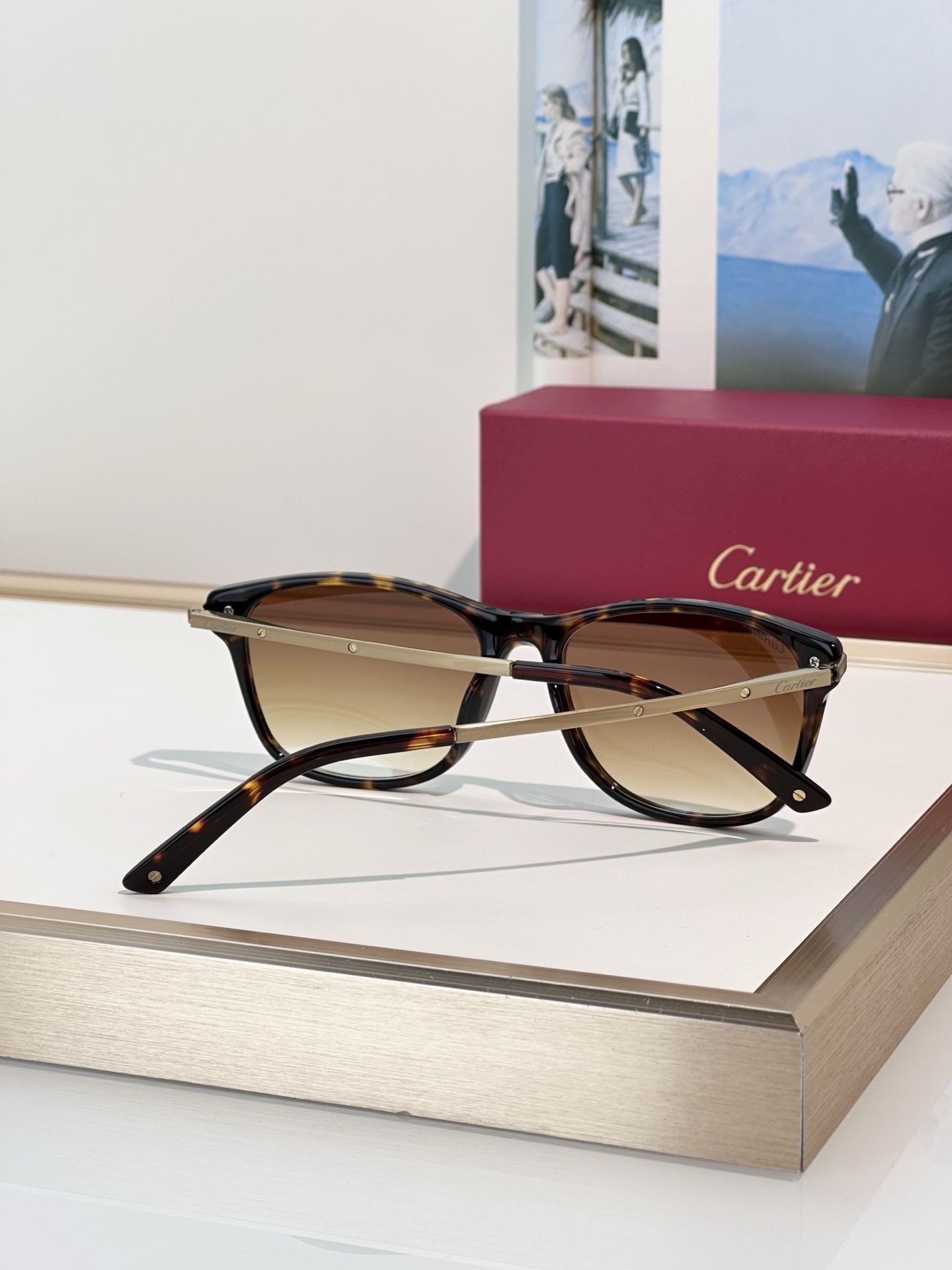 Designer Sunglasses CT0106O