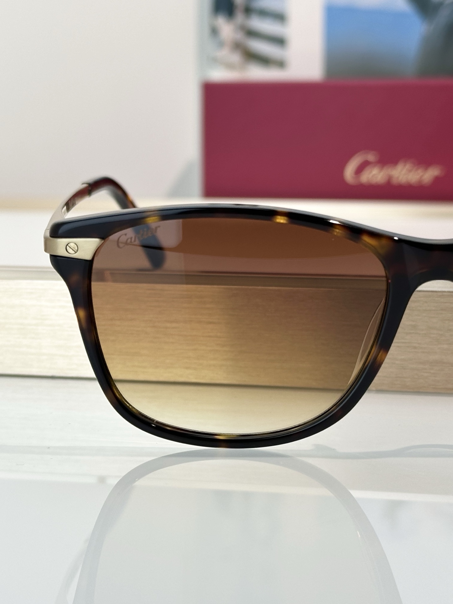Designer Sunglasses CT0106O