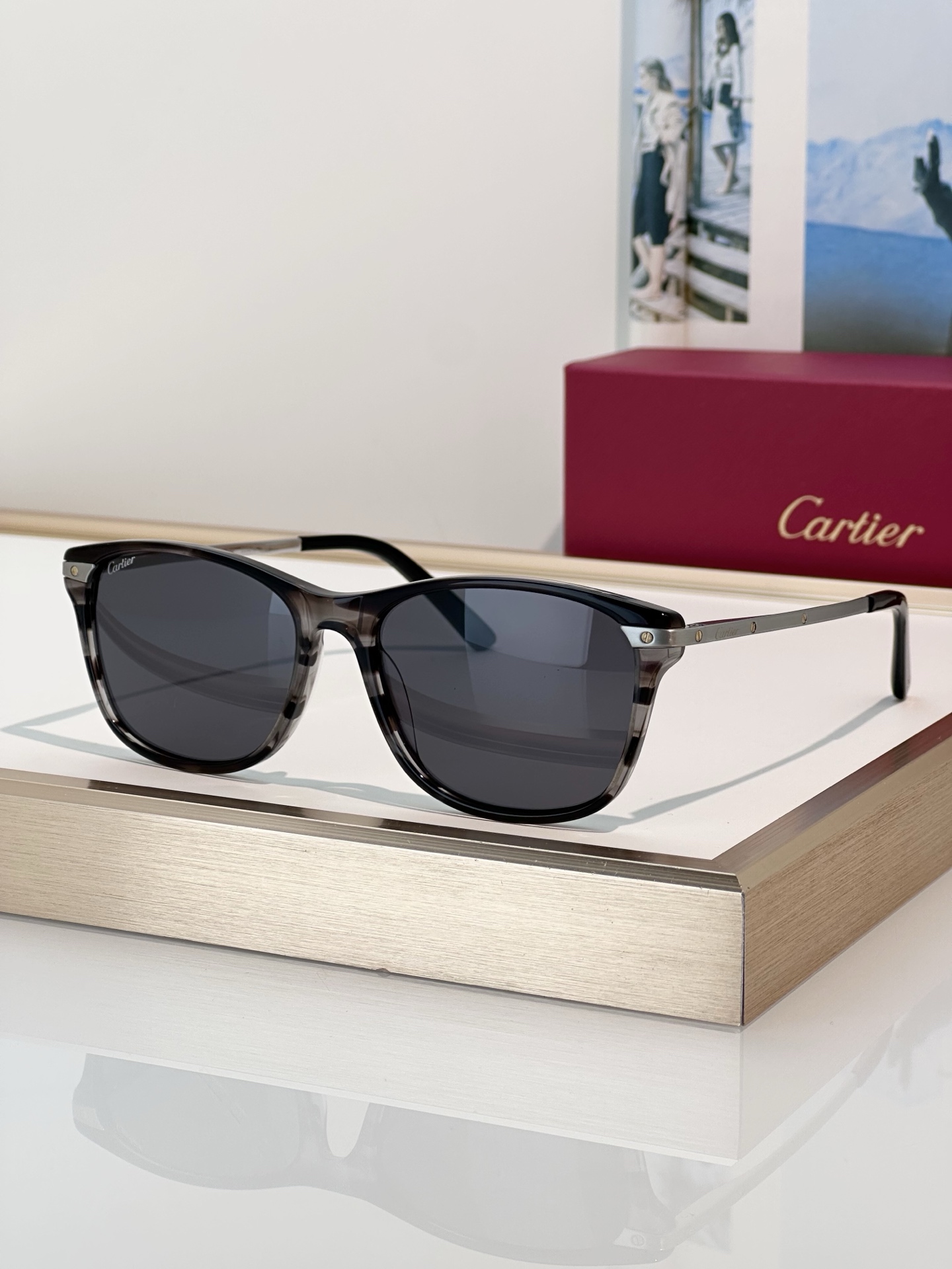 Designer Sunglasses CT0106O