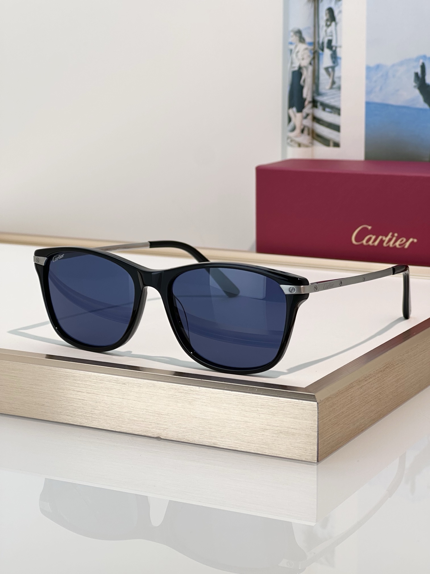 Designer Sunglasses CT0106O