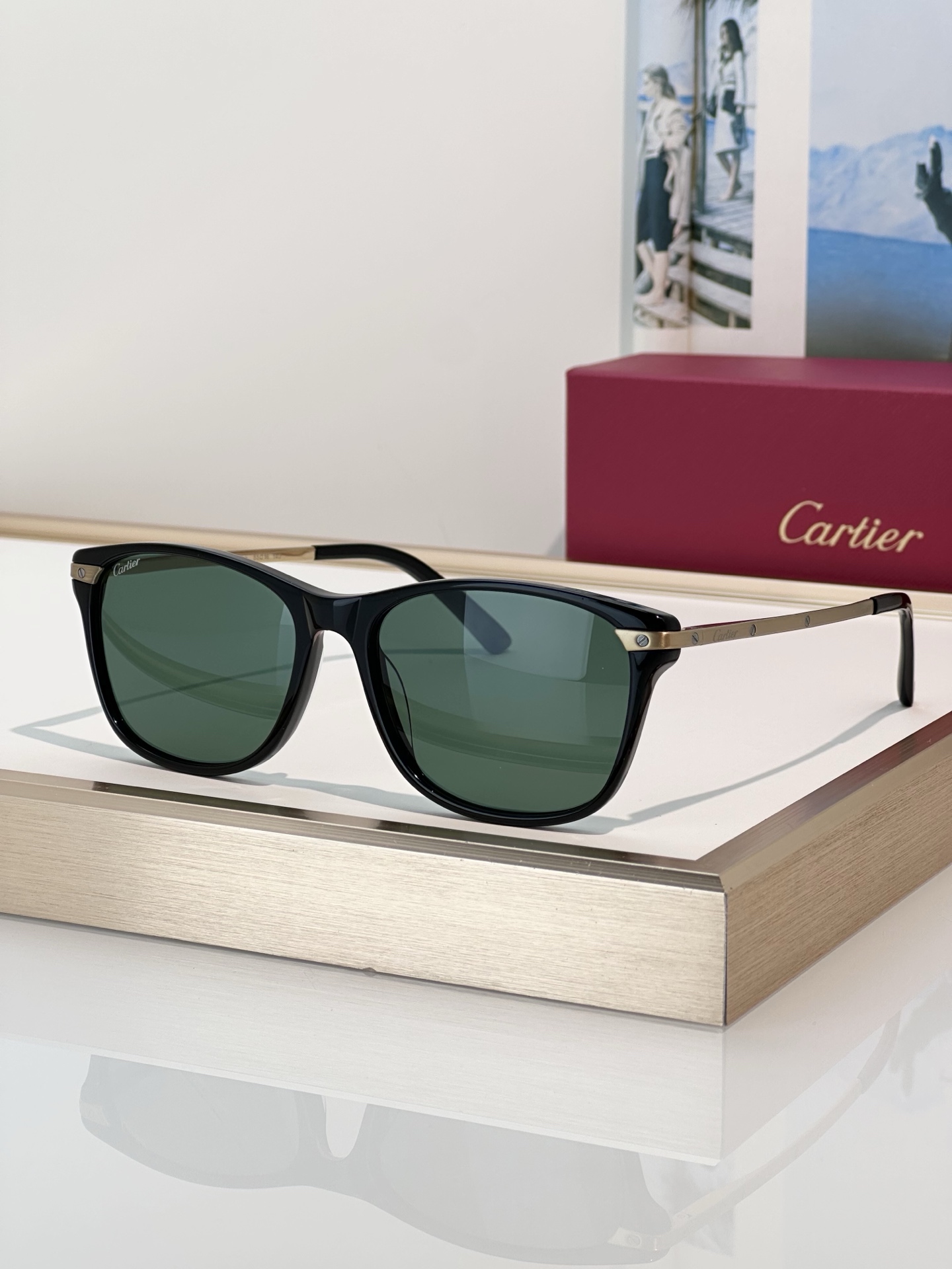 Designer Sunglasses CT0106O