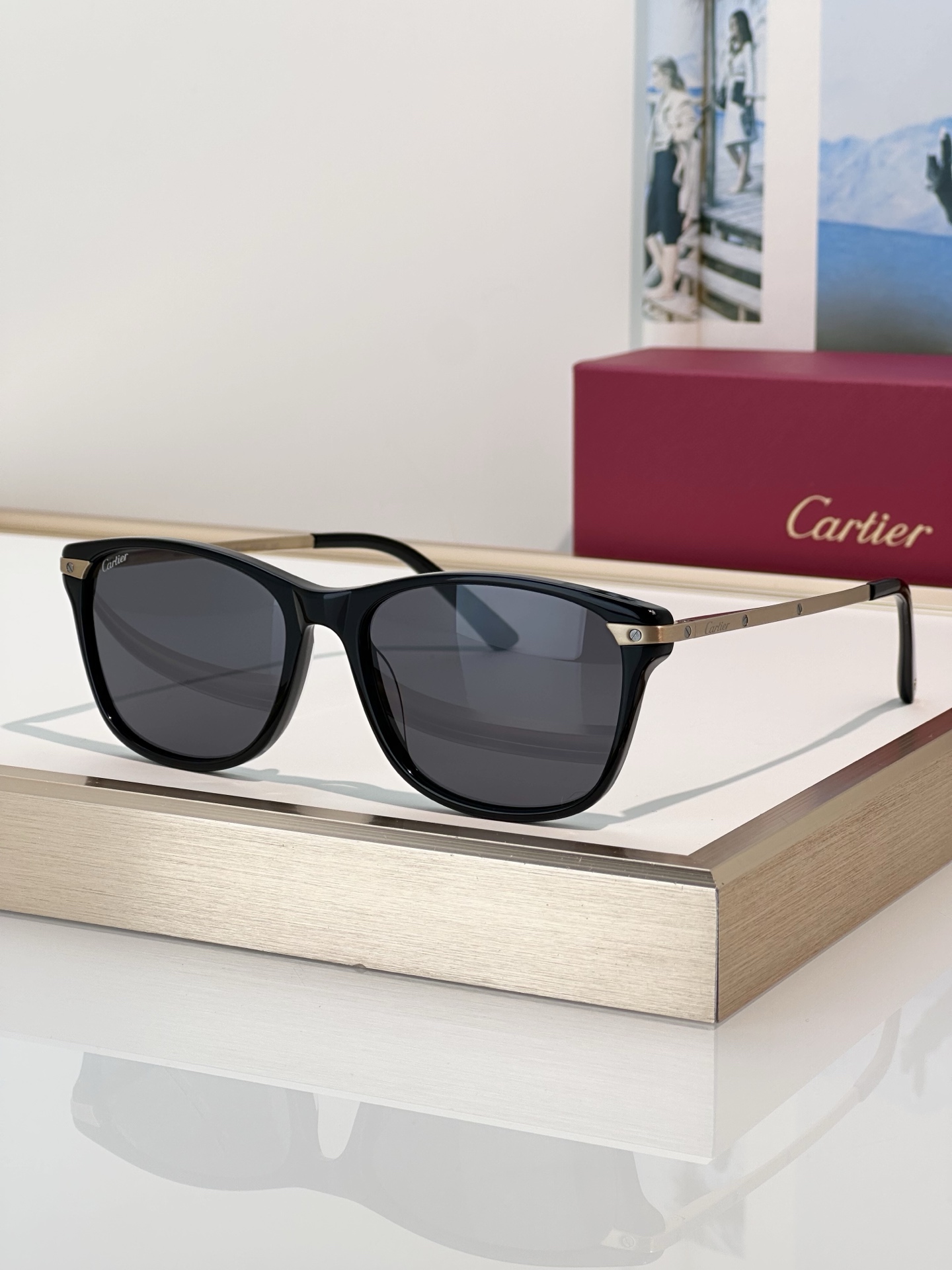 Designer Sunglasses CT0106O
