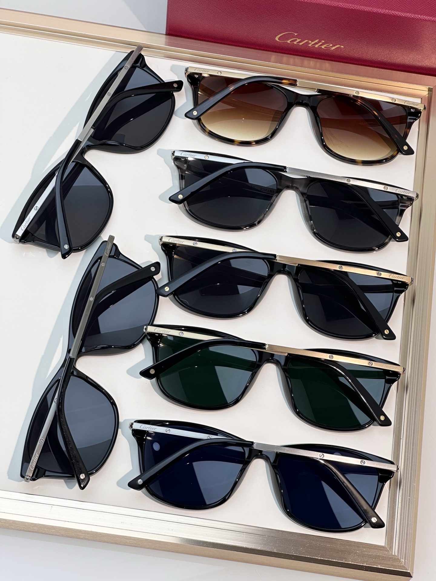 Designer Sunglasses CT0106O