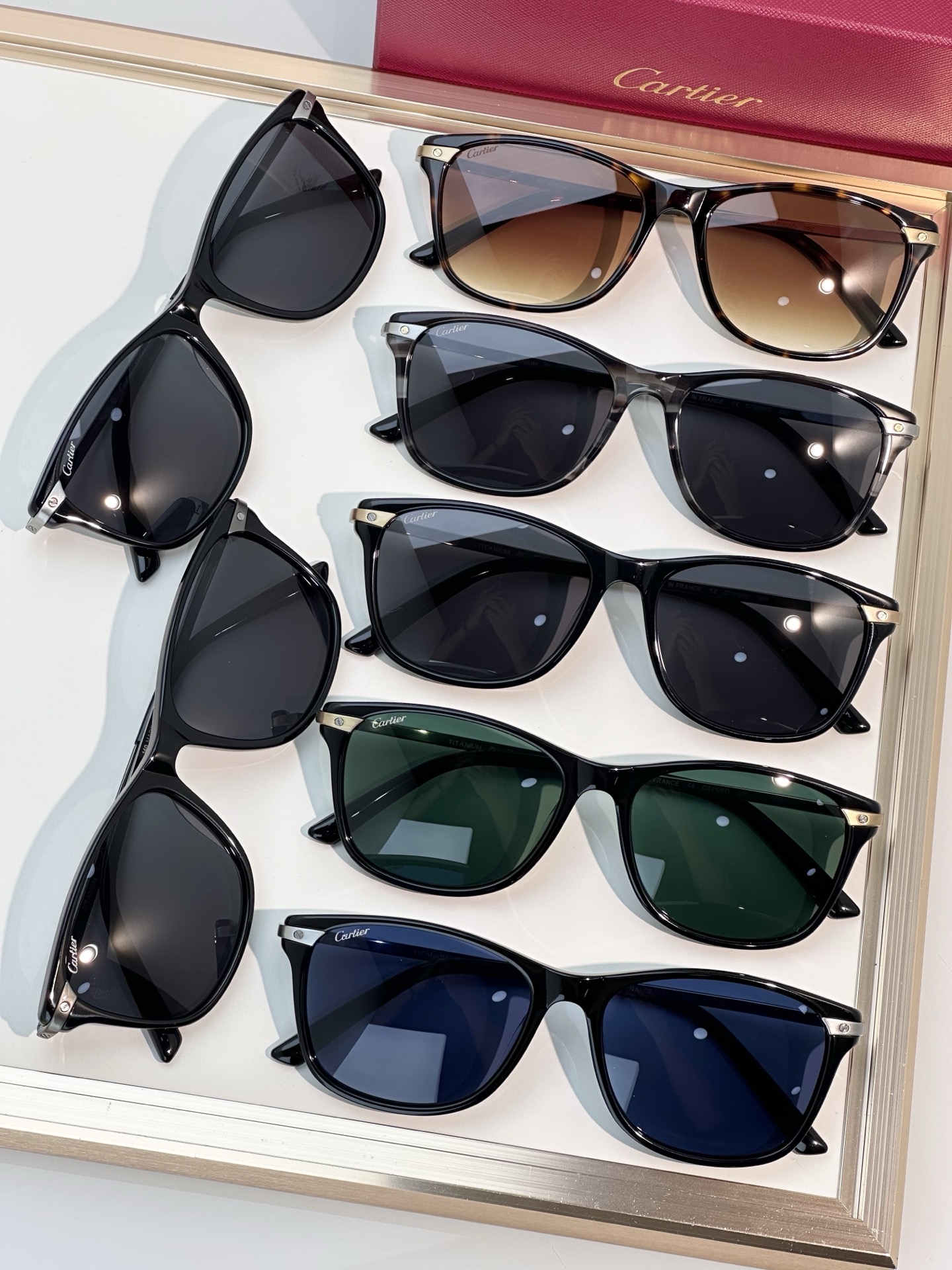 Designer Sunglasses CT0106O