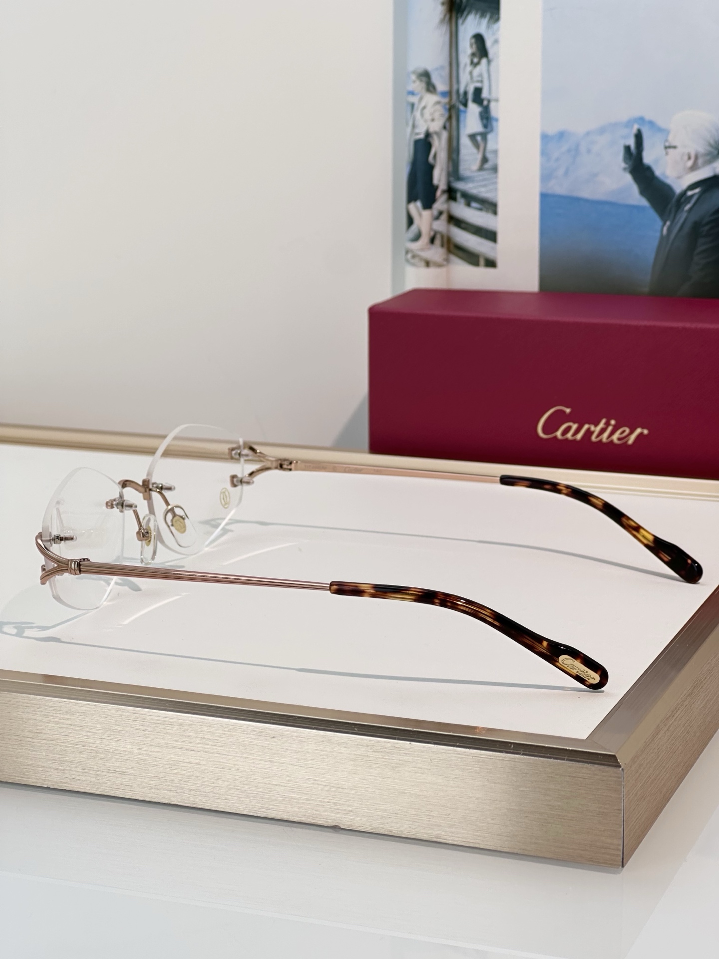 Designer Sunglasses CT0620S